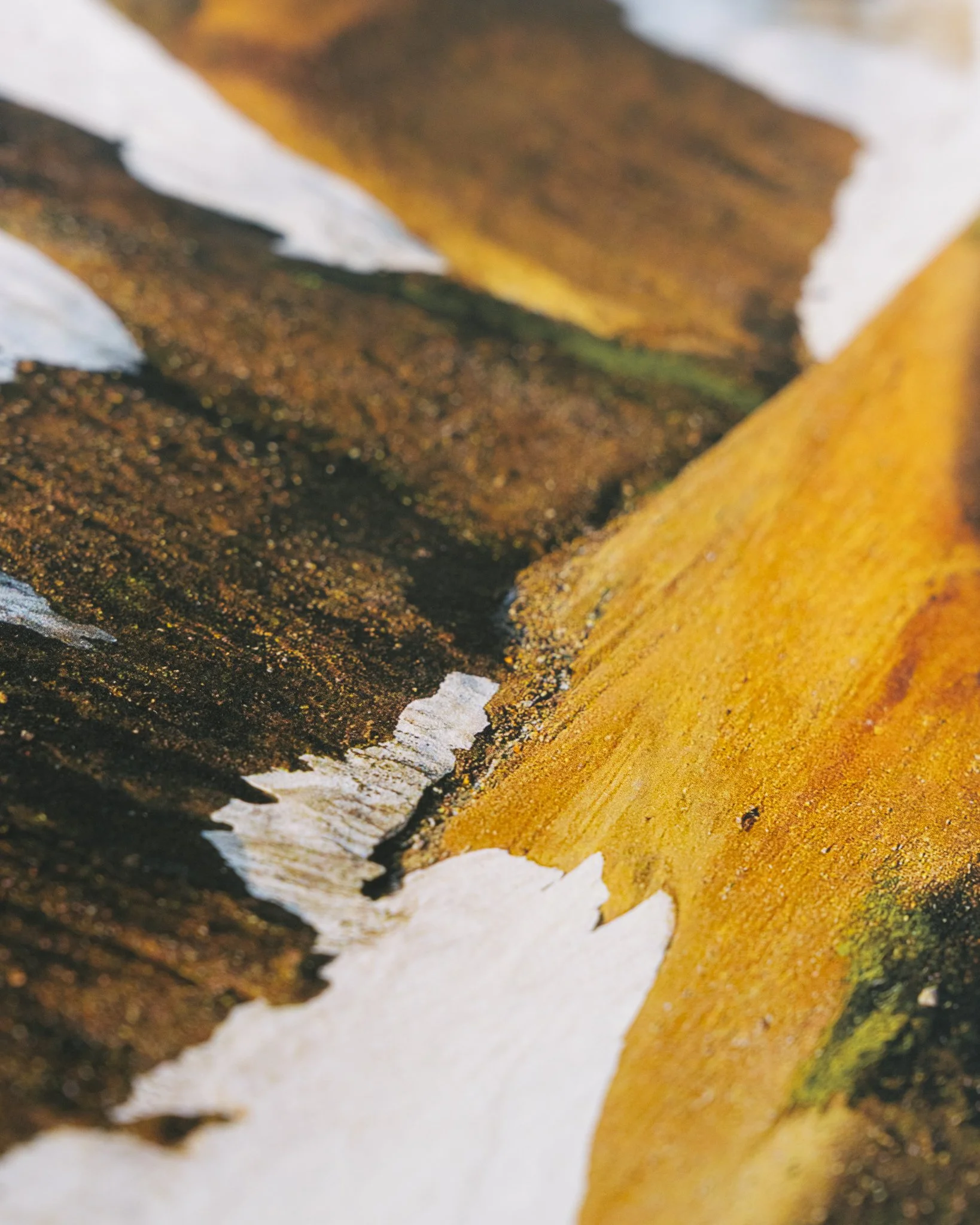 Fleeting Website-11.jpg