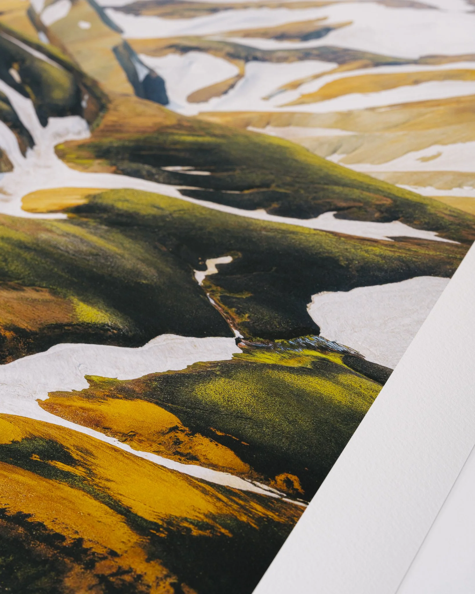 Fleeting Website-02.jpg