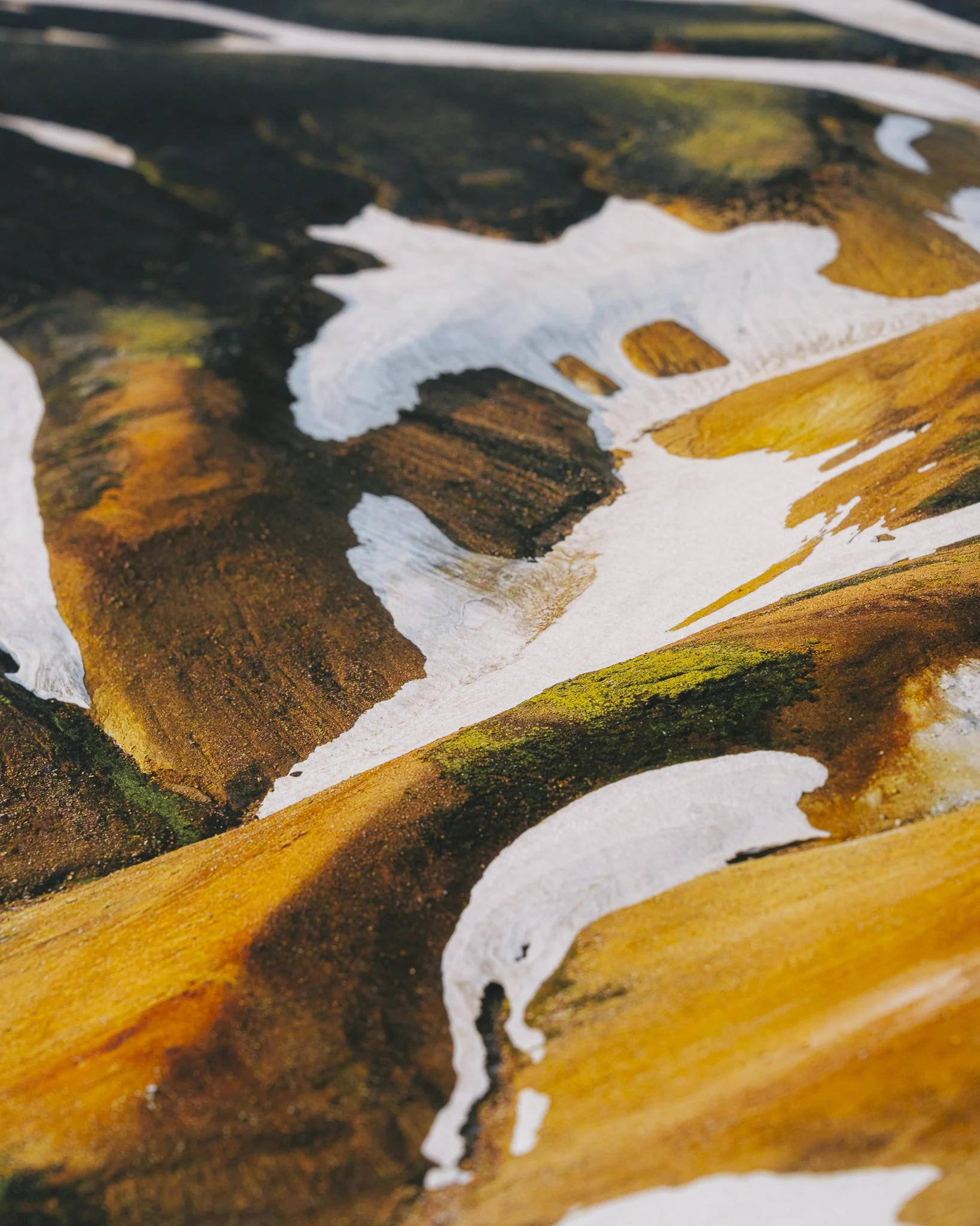 Fleeting Website-03.jpg