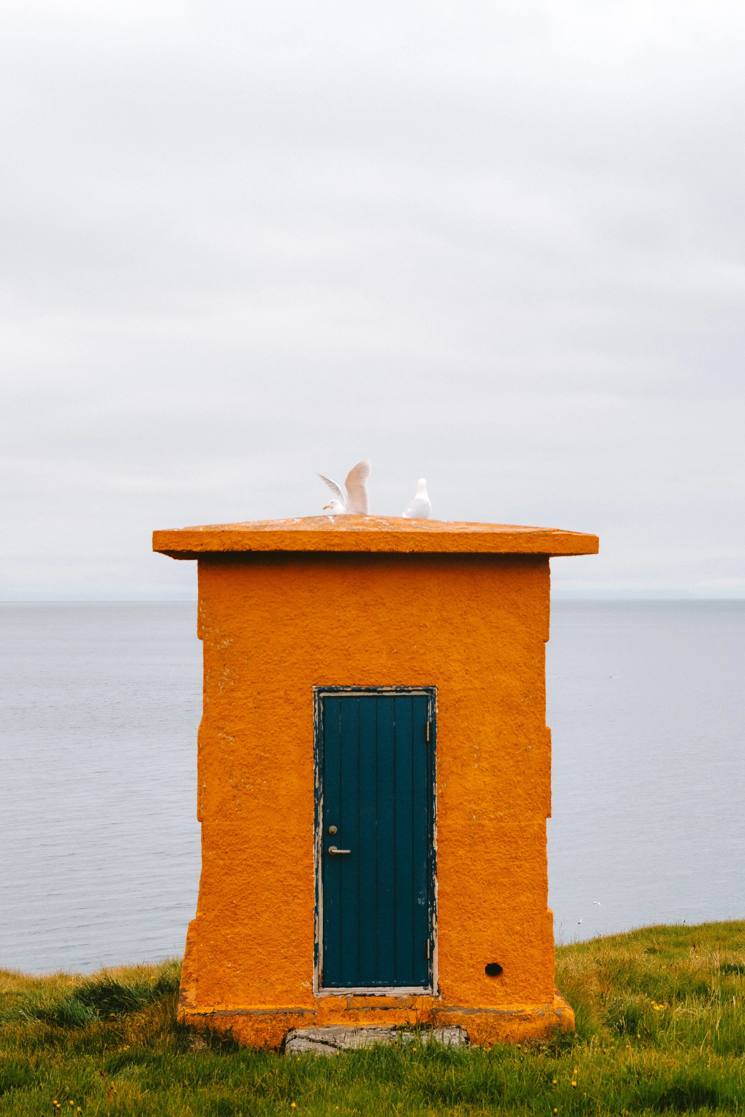 A small orange building with a blue door and a flat roof, situated on a grassy area overlooking the ocean, with two seagulls perched on top and one taking flight.