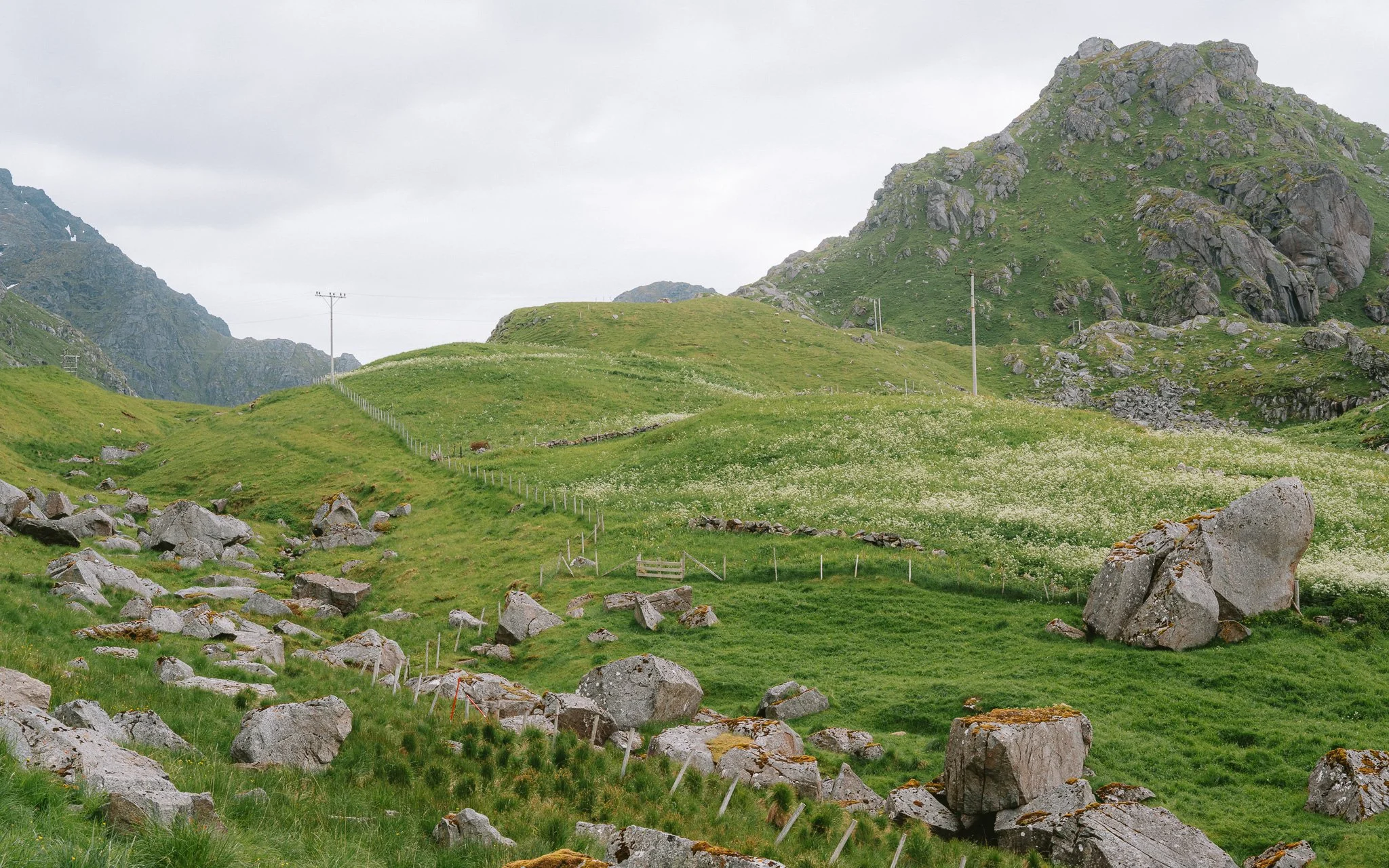 Green grassy hillside with large rocks and boulders, scattered along the slope, with a mountain in the background and power lines across the landscape.