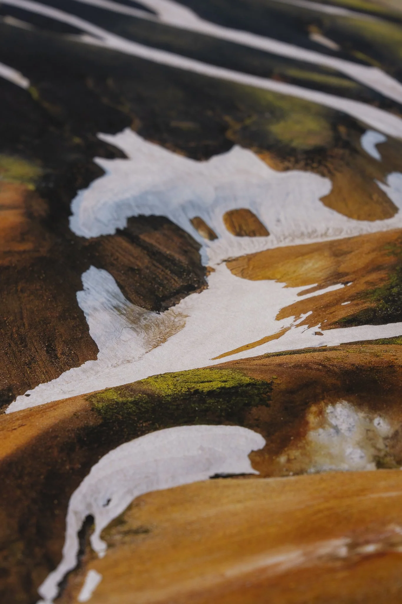 Fleeting Website-06.jpg