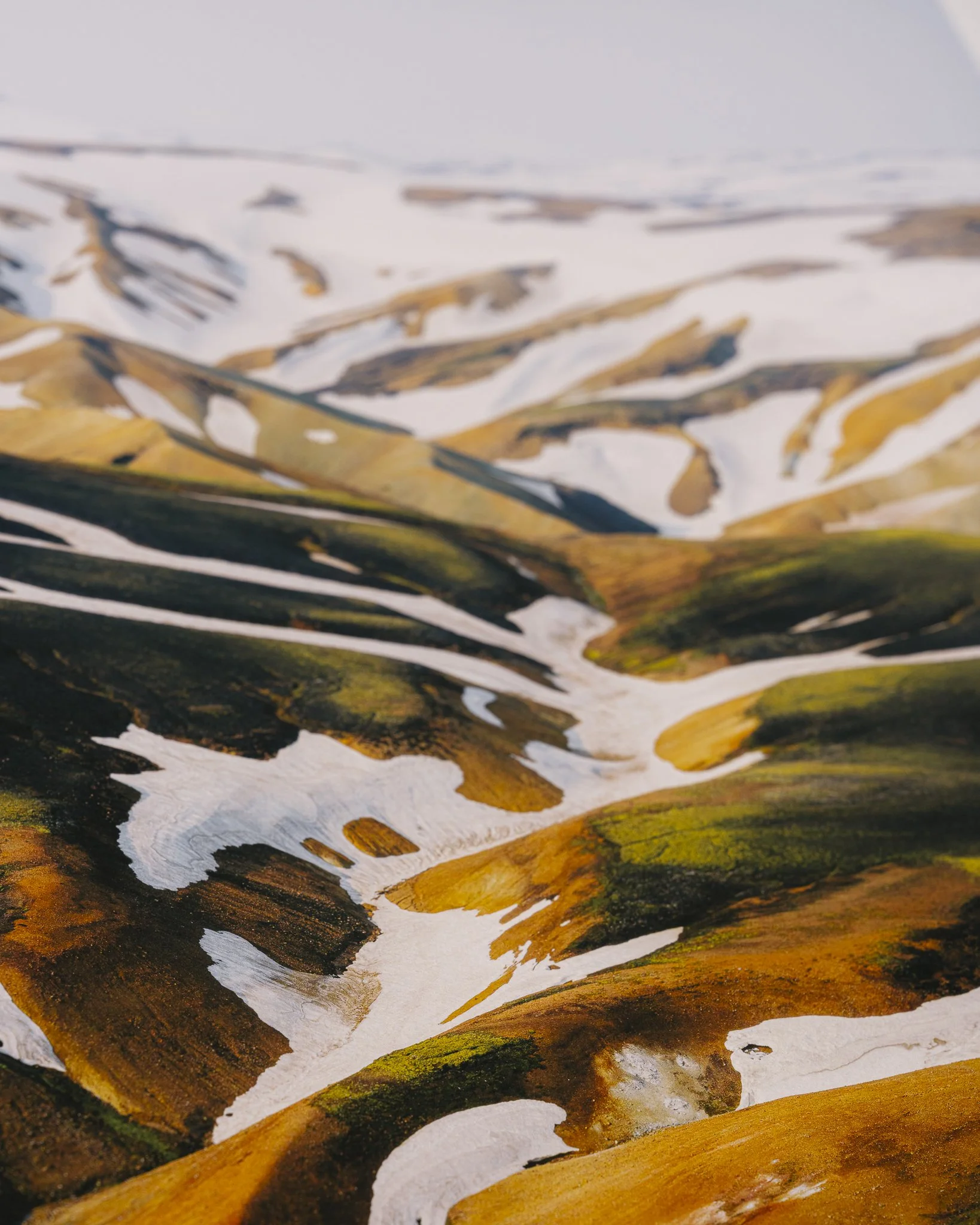 Fleeting Website-09.jpg