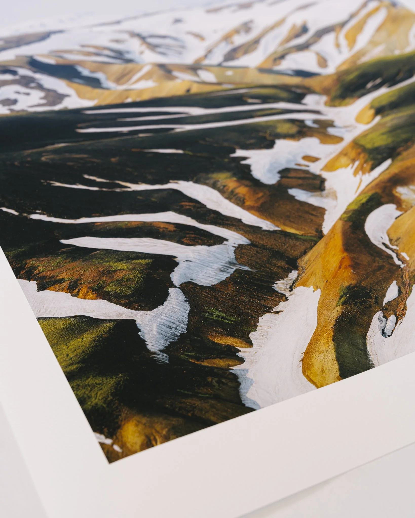 Fleeting Website-01.jpg