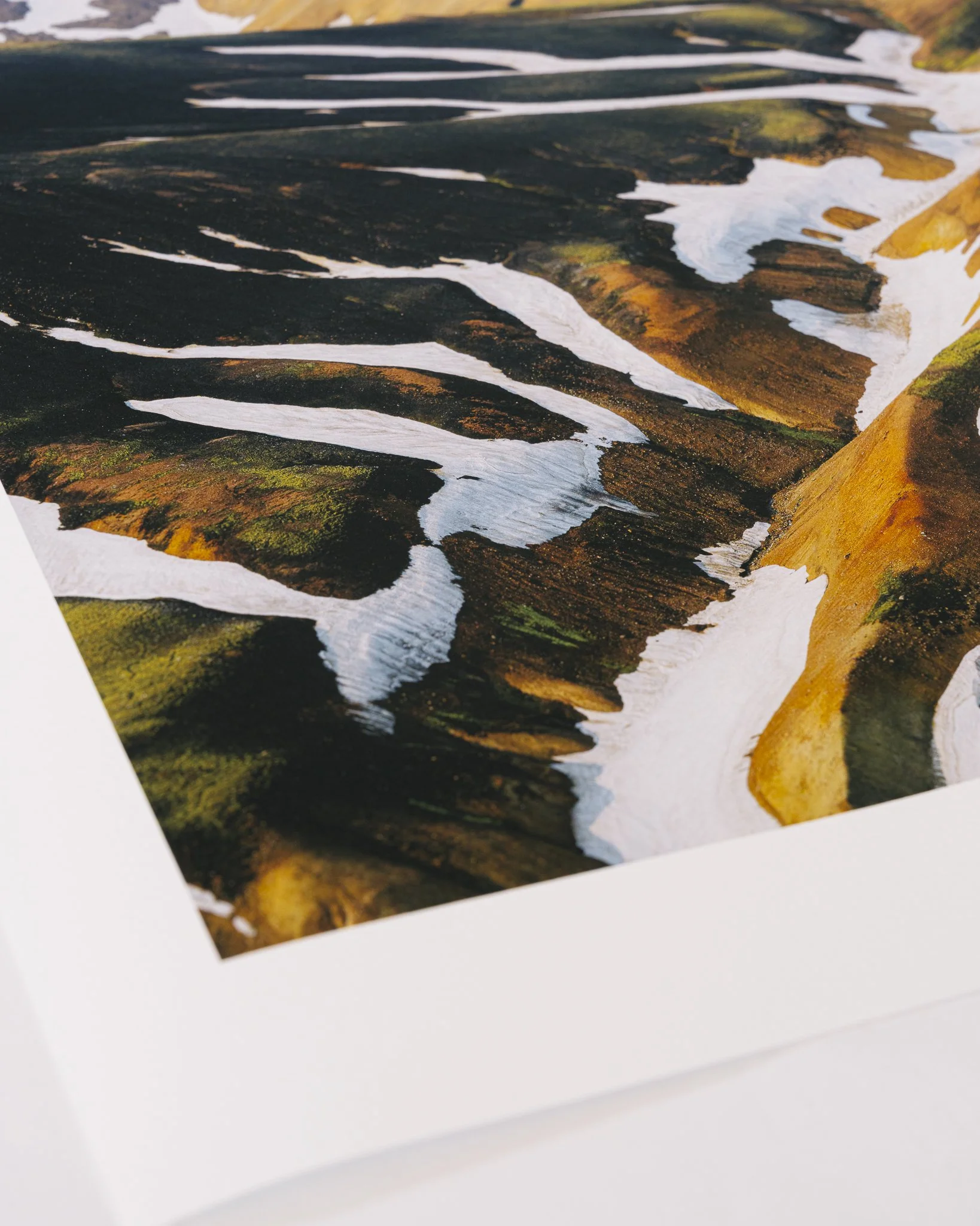 Fleeting Website-07.jpg