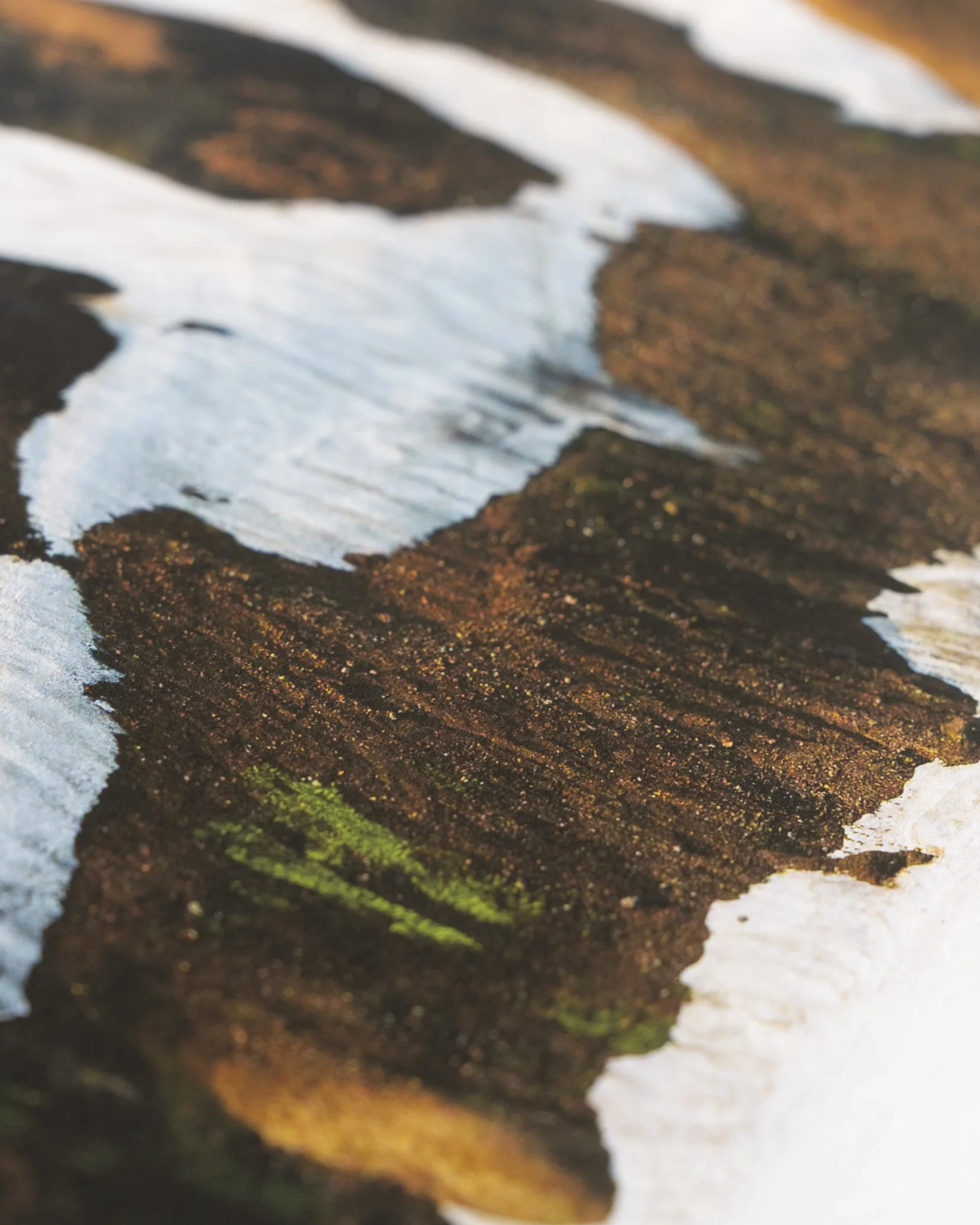 Fleeting Website-10.jpg