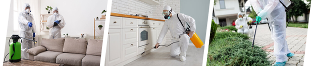 Workers in full protective gear disinfecting indoor and outdoor areas