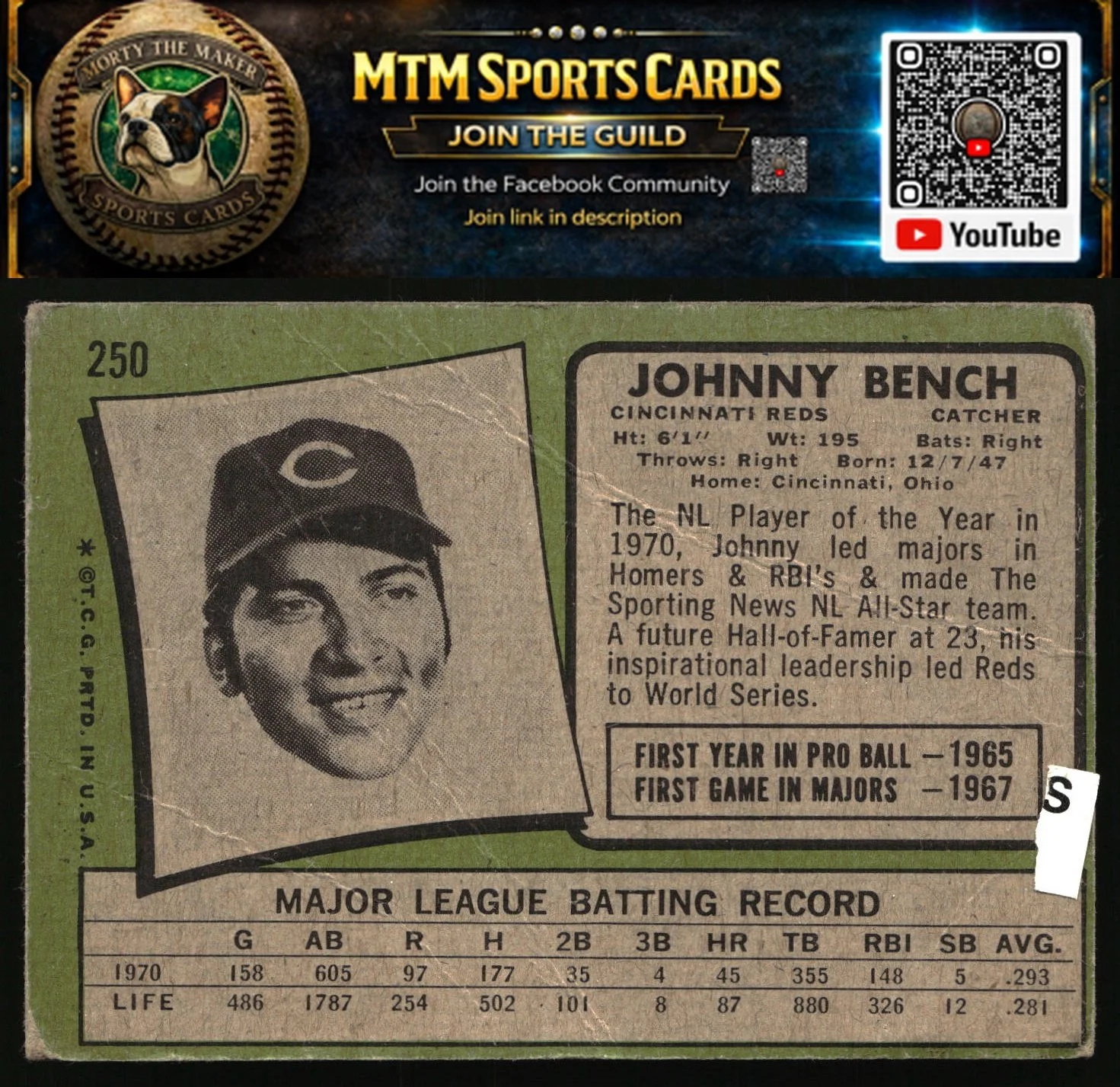 56194741-back.jpg