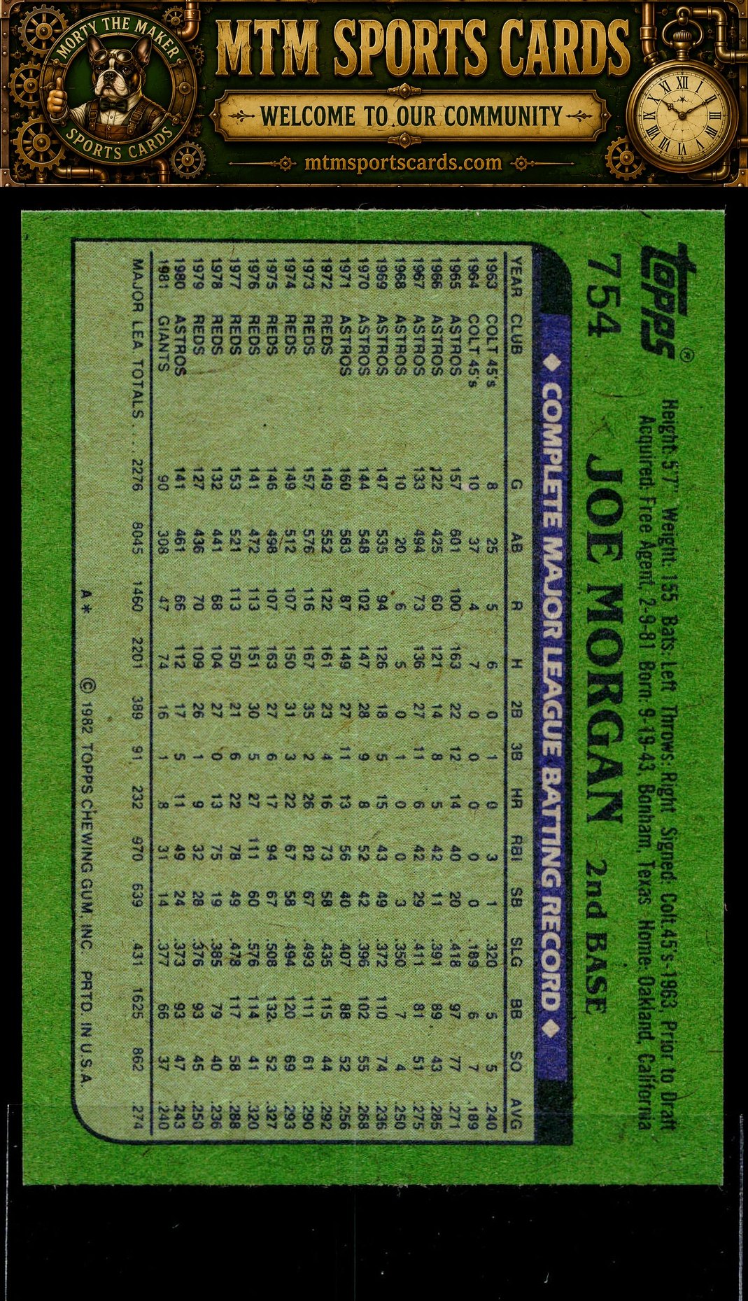 76701635-back.jpg