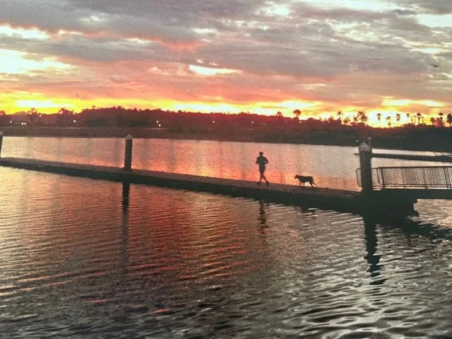 A person jogging on a pier at sunset with a dog walking nearby over calm water, with a colorful sky and palm trees in the background.