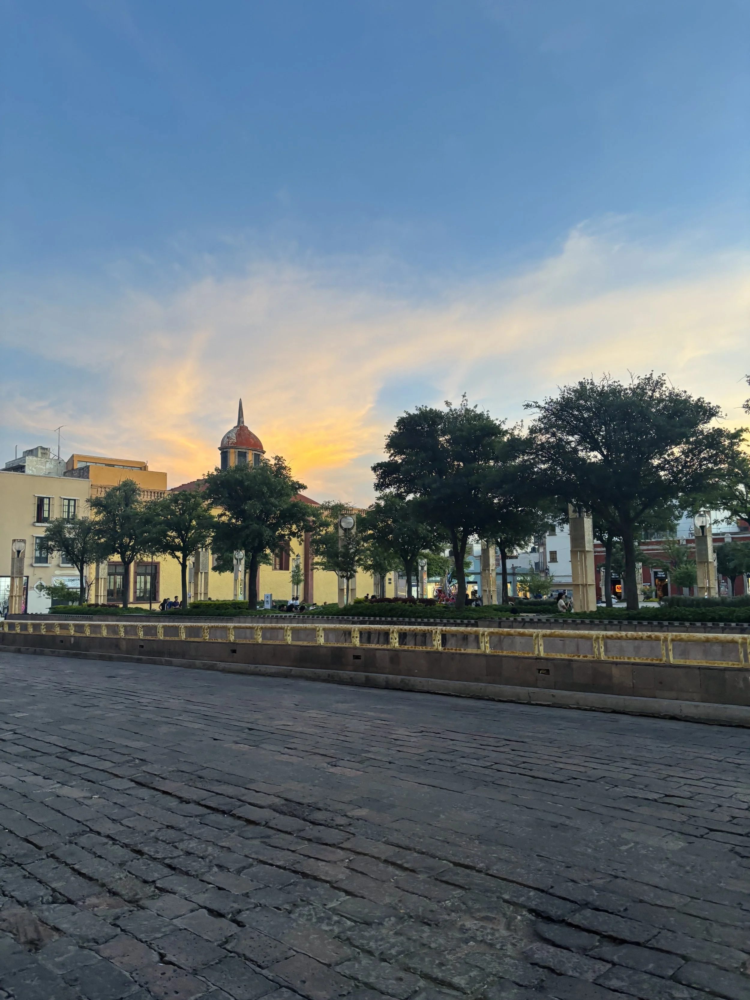 IMG_2806.jpeg