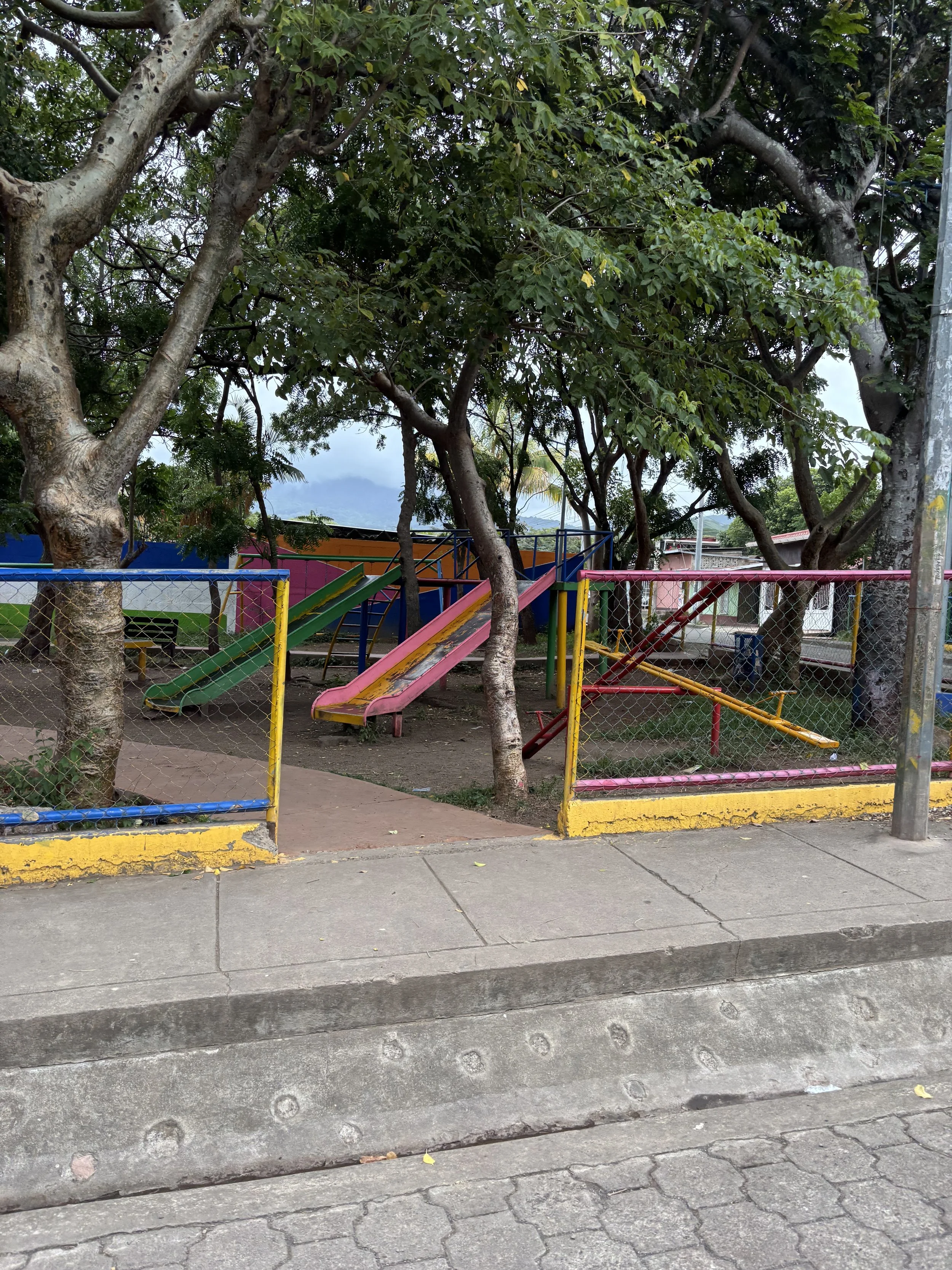 IMG_9658.jpeg