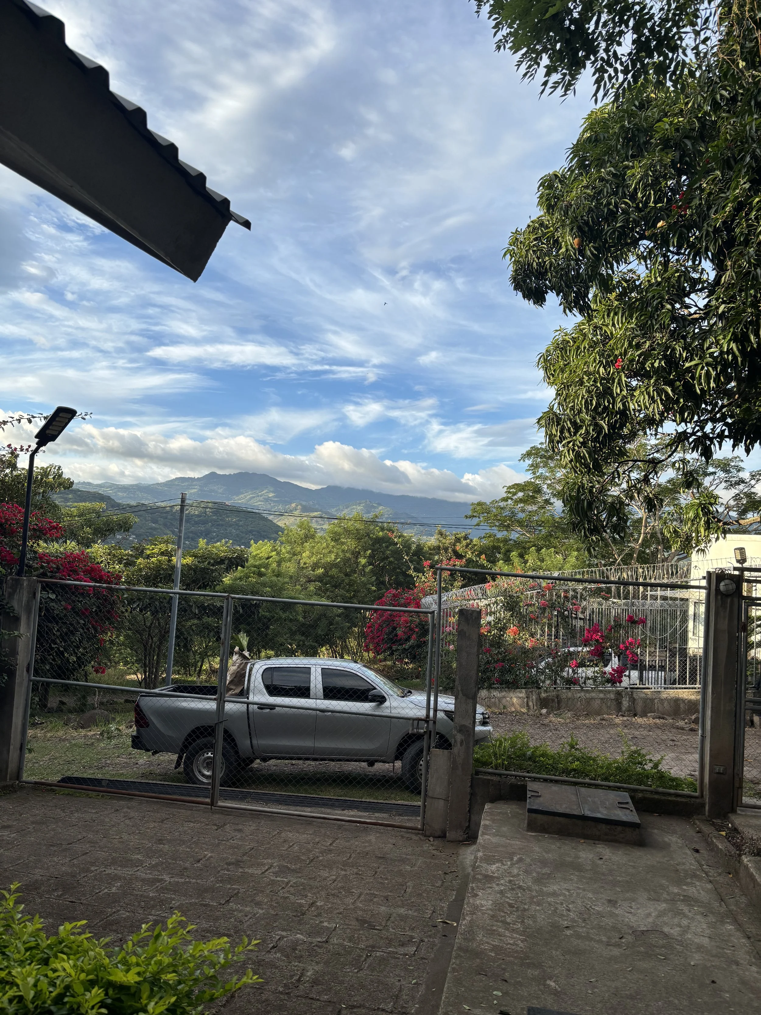 IMG_9619.jpeg
