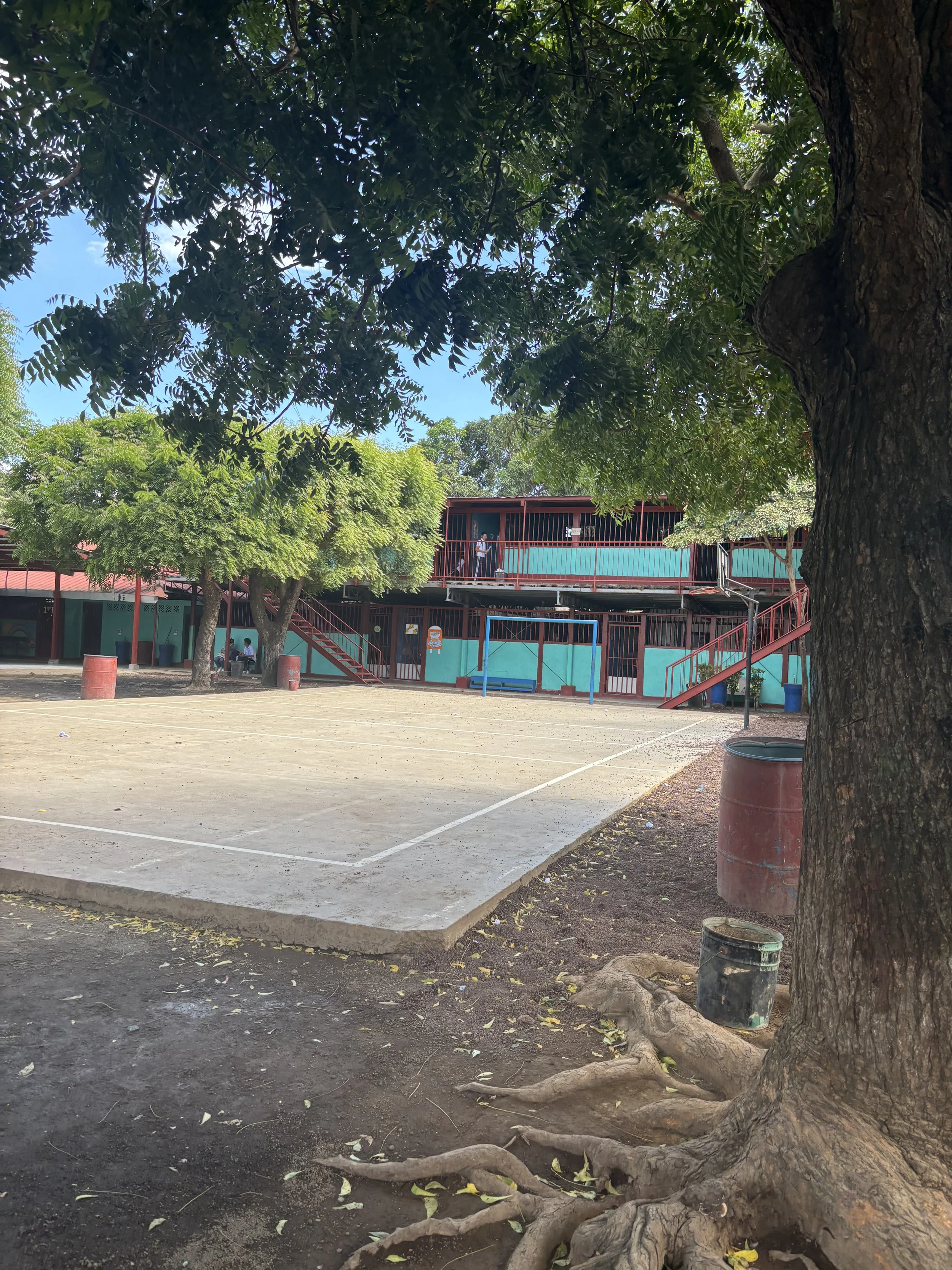 IMG_6558.jpeg