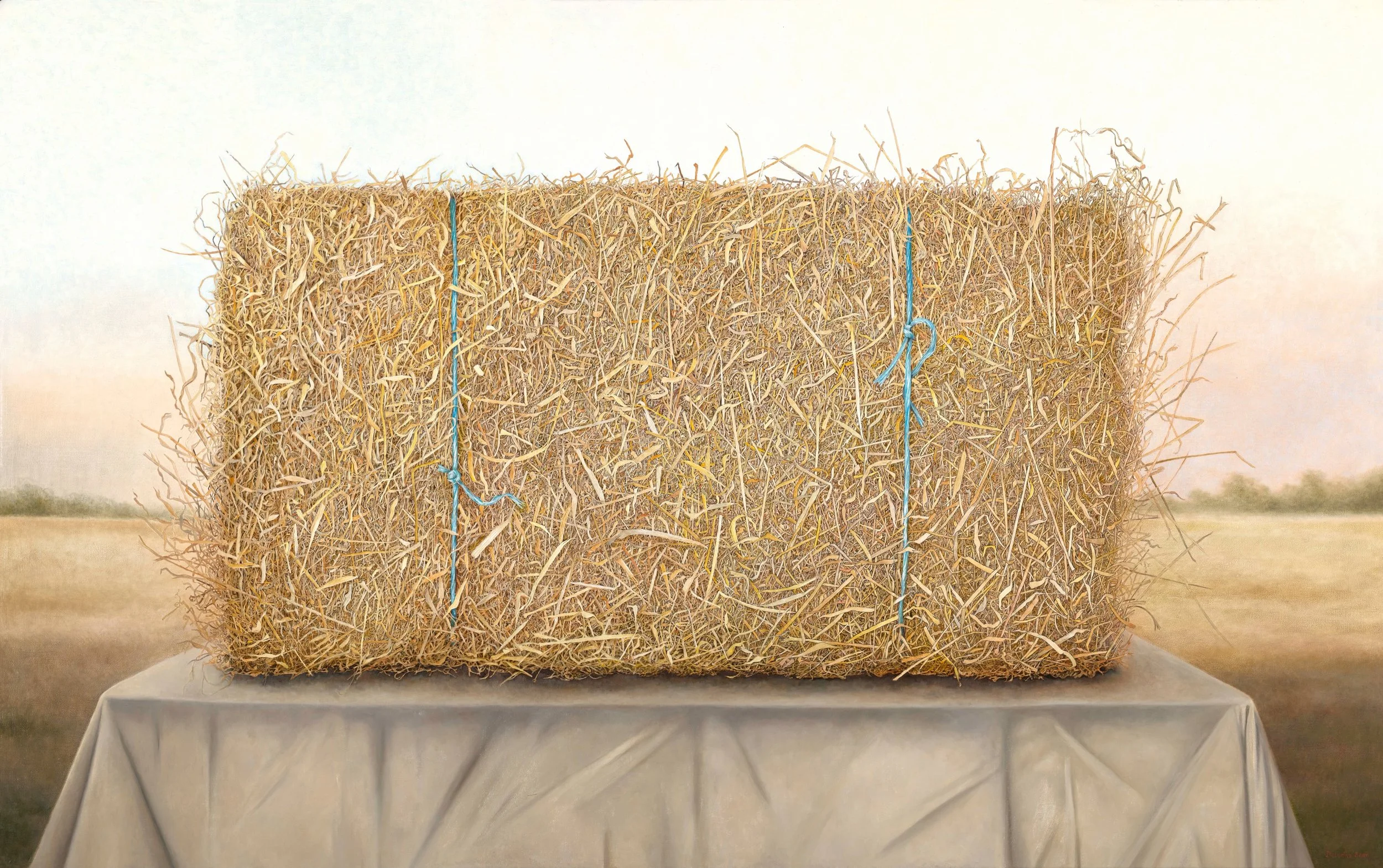 Deirdre Bean, Hay #2 Still LIFE 

&ldquo;On our NSW property the landscape is defined by the scenery and its produce; a working landscape.
Travelling through China I was struck by vast rural vistas, not dissimilar to views I am familiar with. I disc