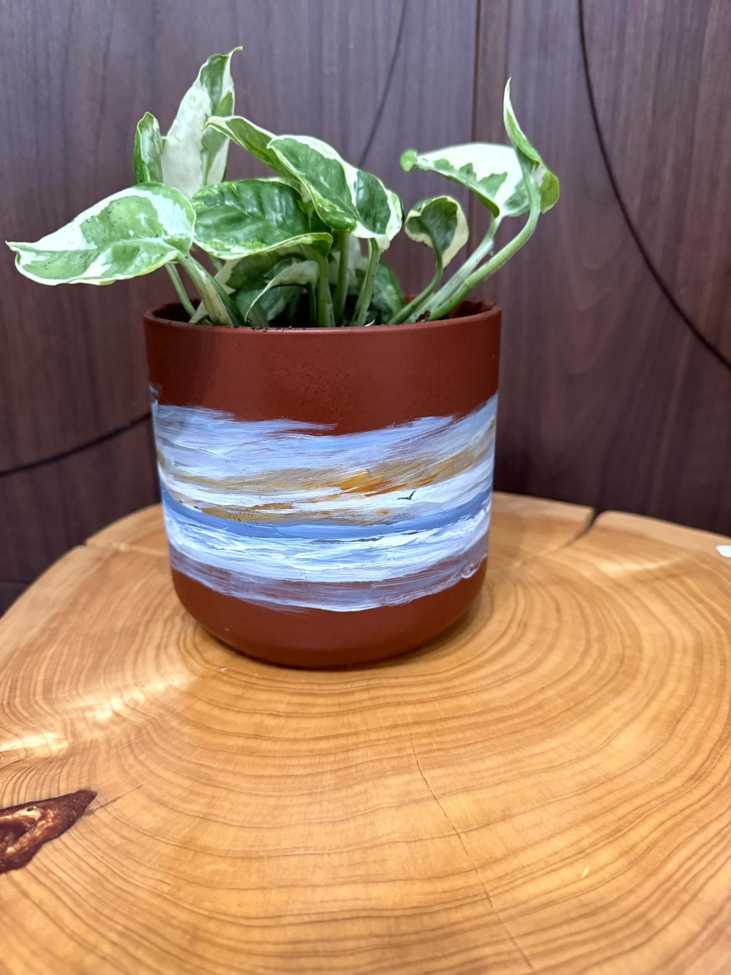 Hand Painted Ceramic Planter Terra Cotta Ocean - with Live Plant
