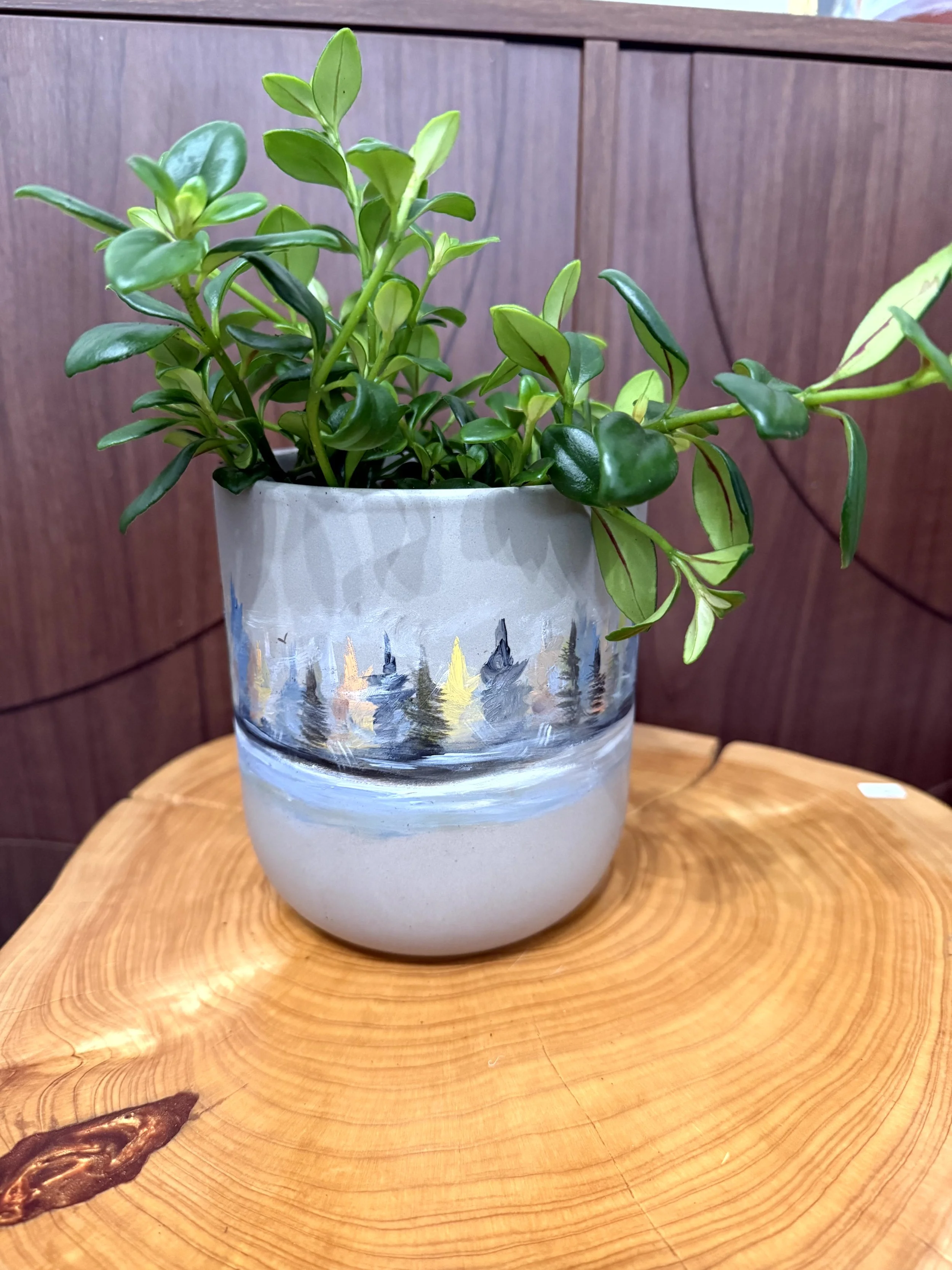 Hand Painted Ceramic Planter Treeline - with Live Plant