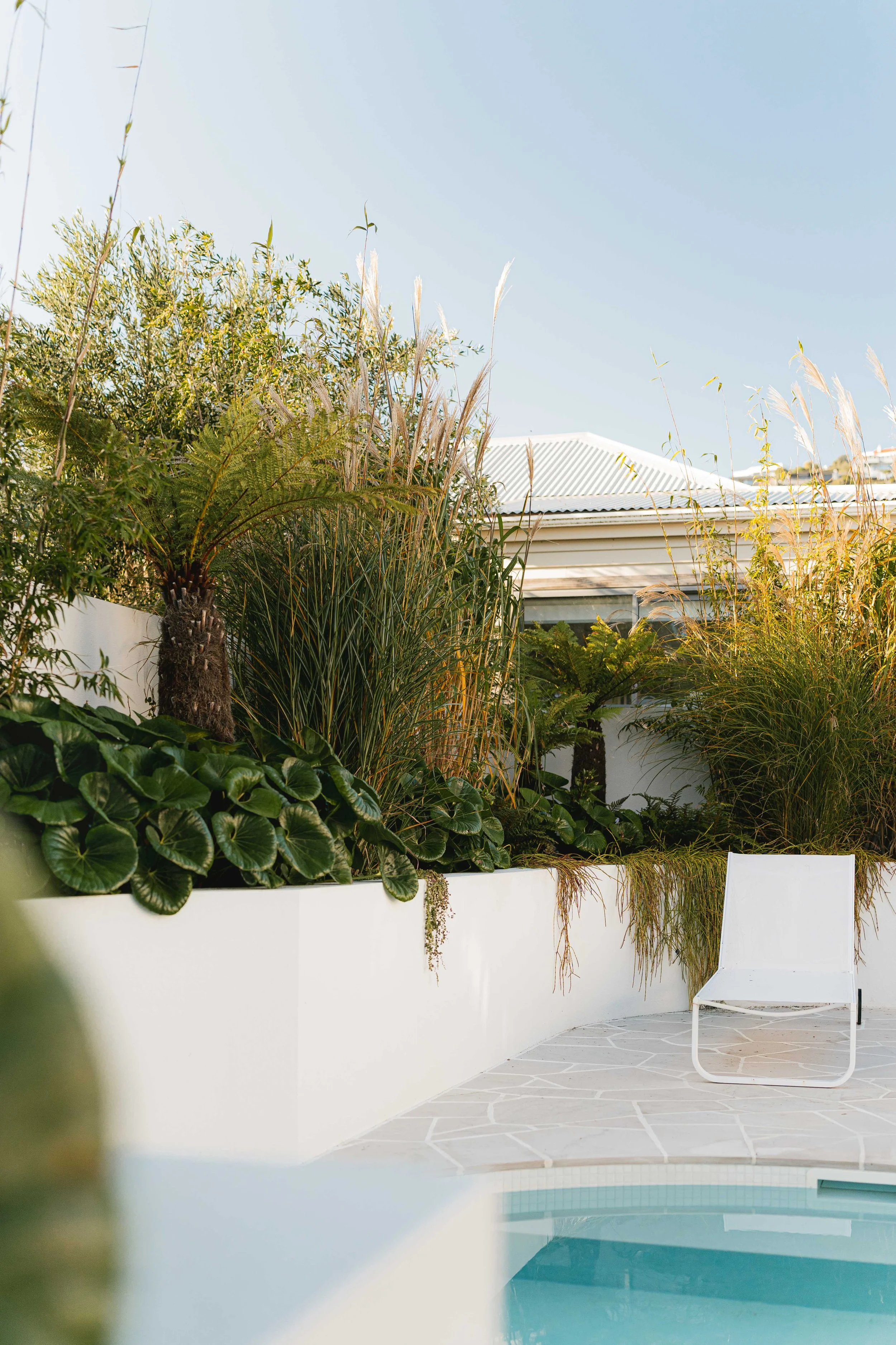 henry-blakely-landscapes-christchurch-poolside-lush-planting.jpg.jpg