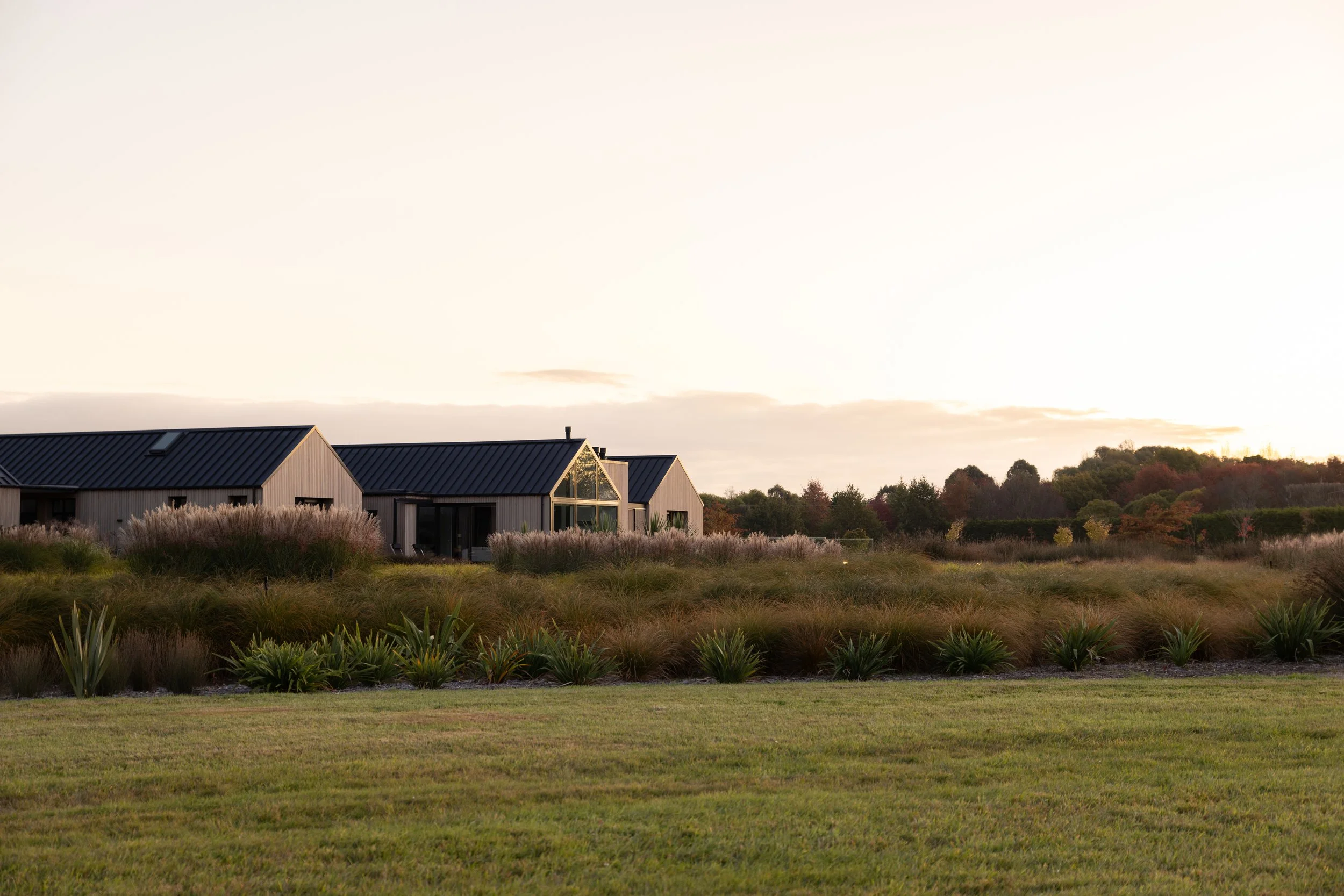 henry-blakely-landscapes-christchurch-rural-house-natural-planting.jpg
