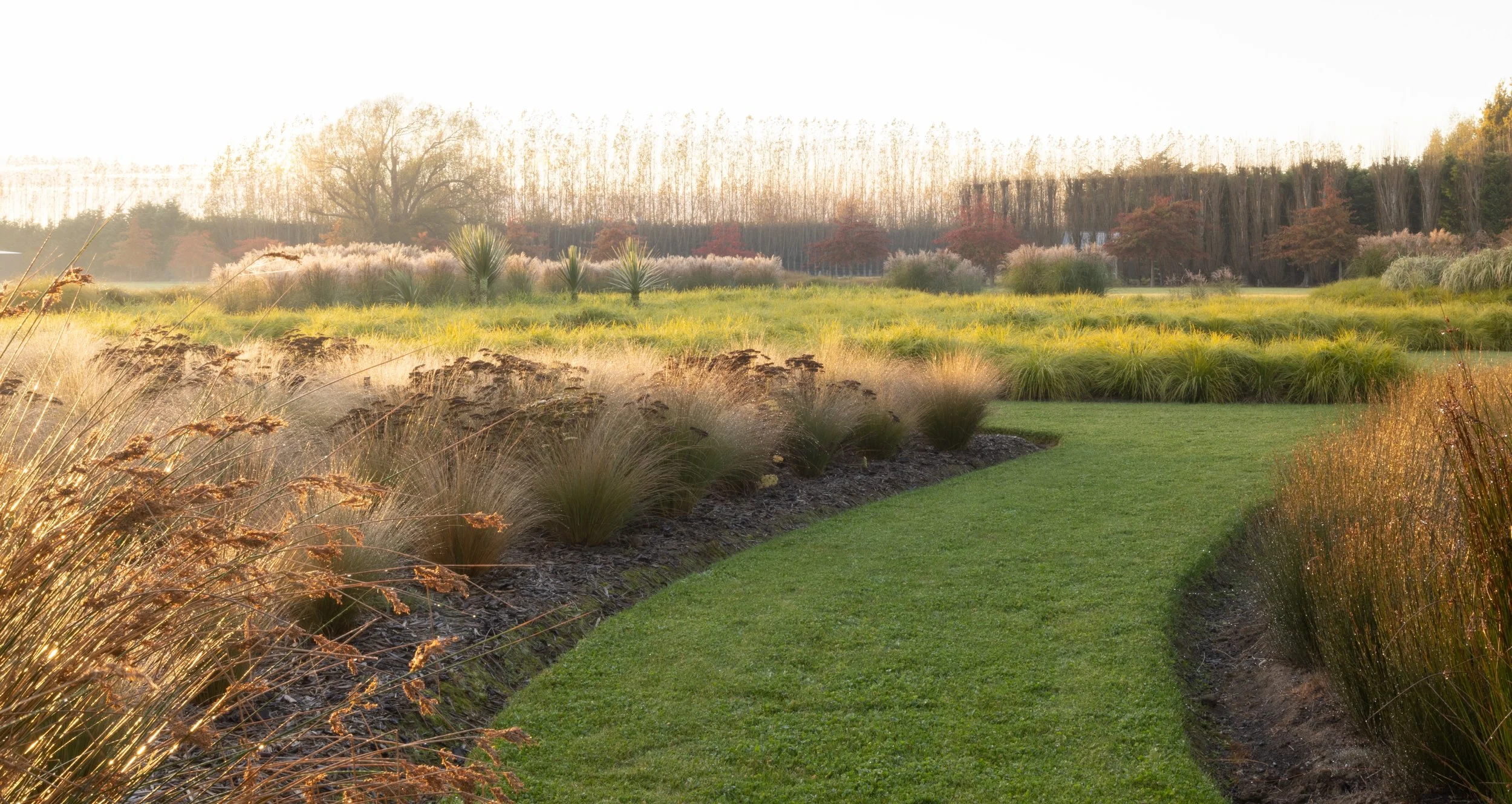 henry-blakely-landscapes-christchurch-curving-lawn-path-countryside.jpg