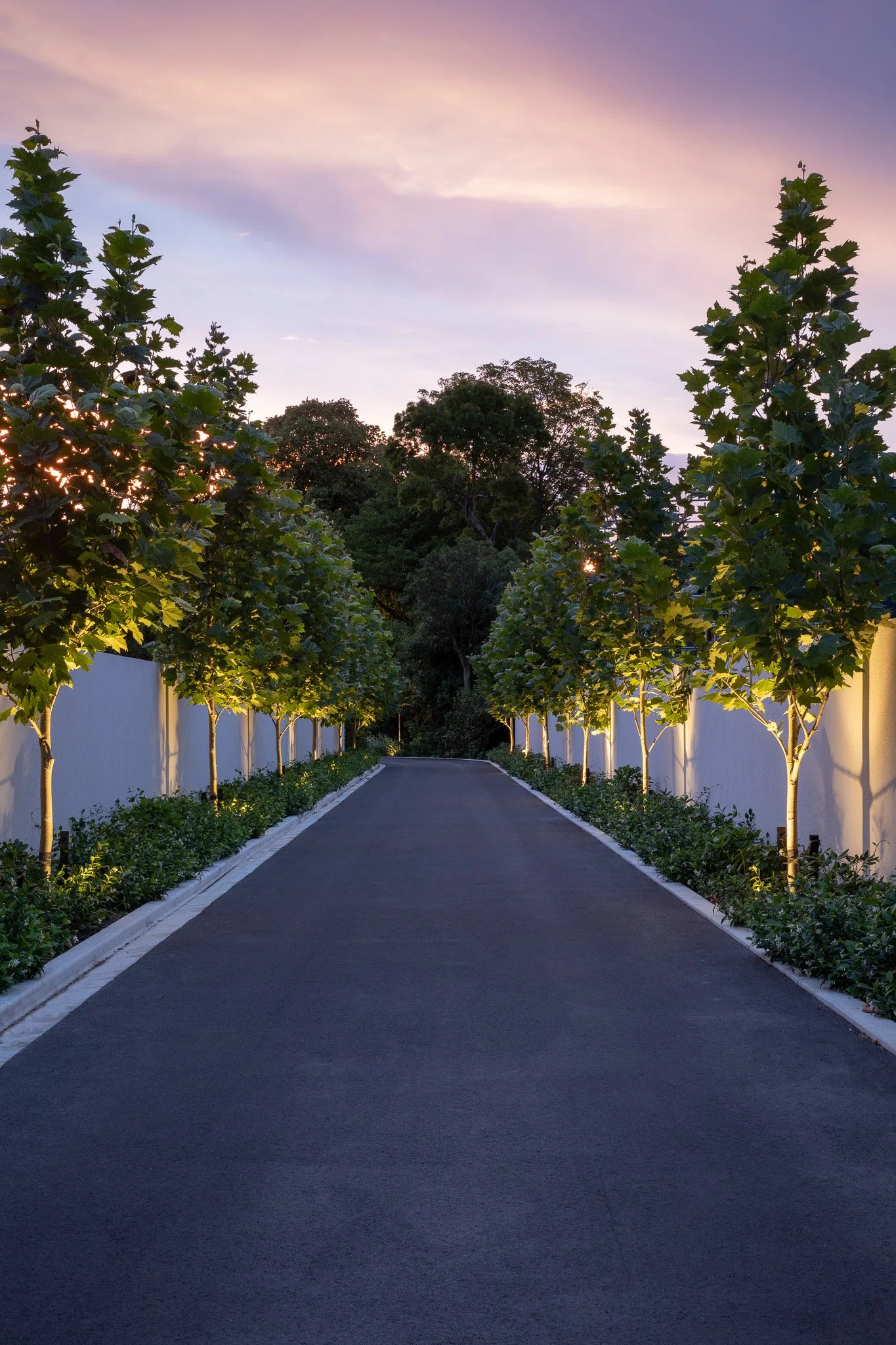 henry-blakely-landscapes-christchurch-traditional-design-tree-lined-driveway-dusk.jpg