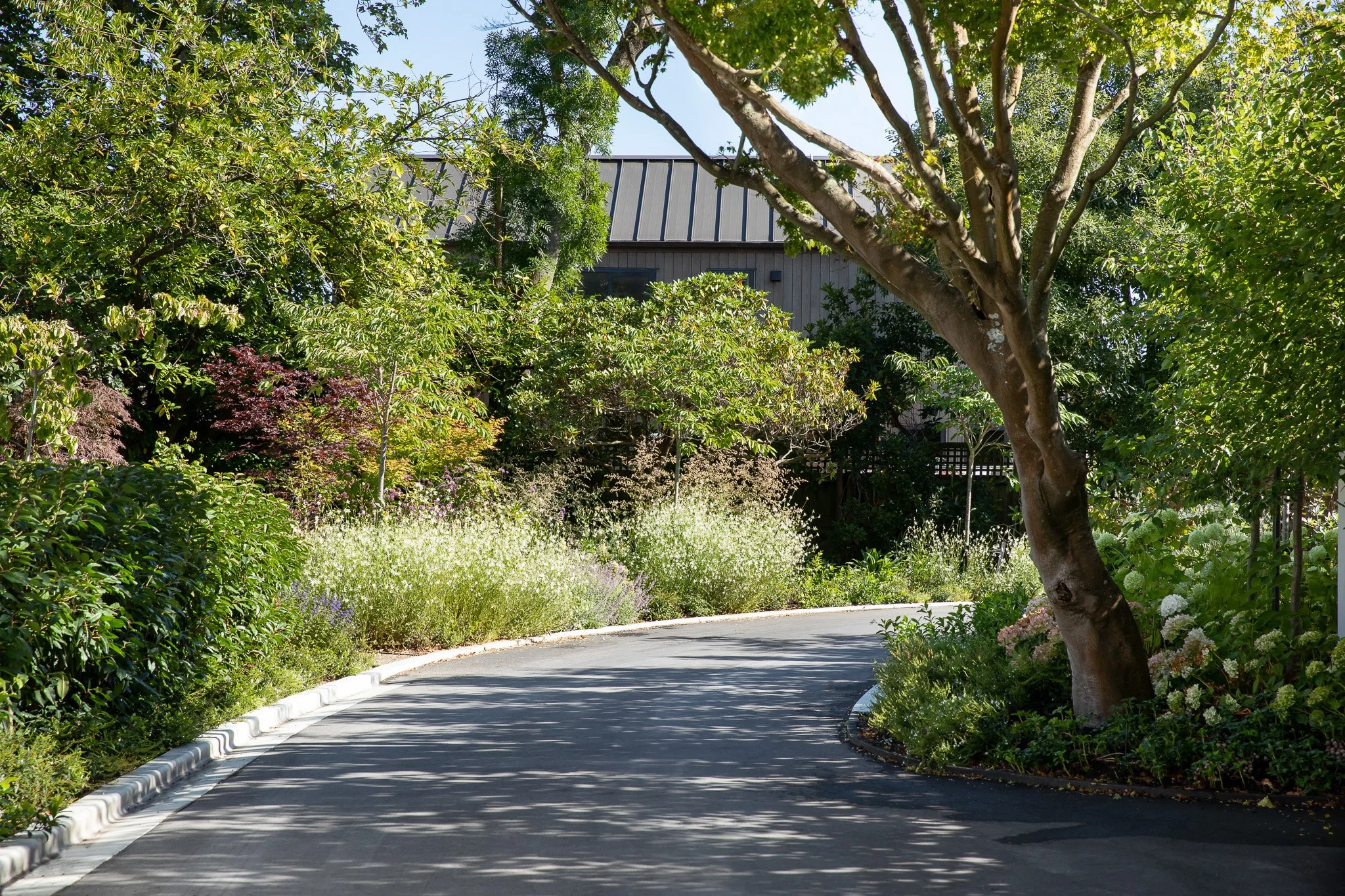henry-blakely-landscapes-christchurch-traditional-design-curved-driveway.jpg