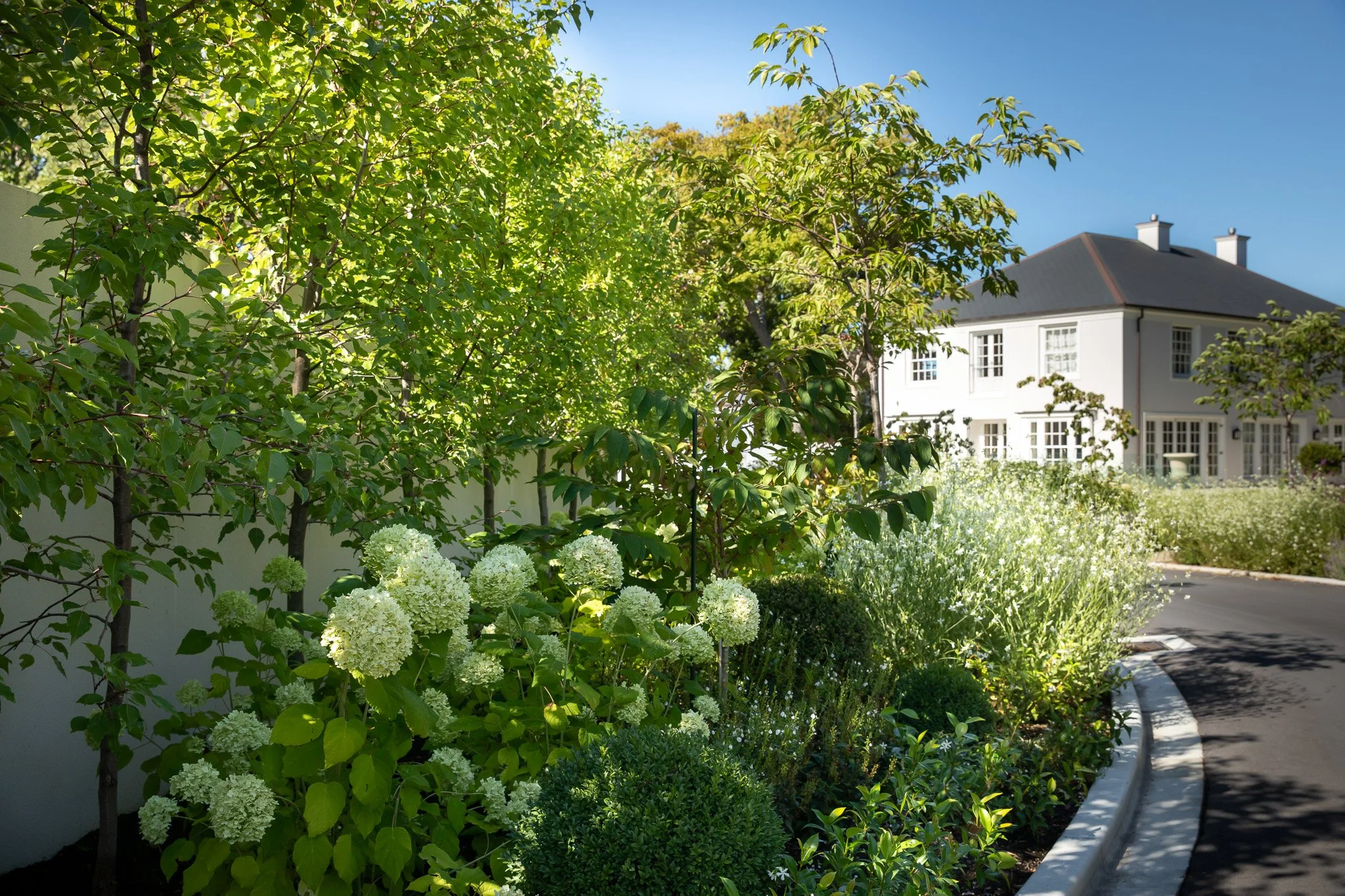 henry-blakely-landscapes-christchurch-traditional-design-tree-lined-entrance.jpg