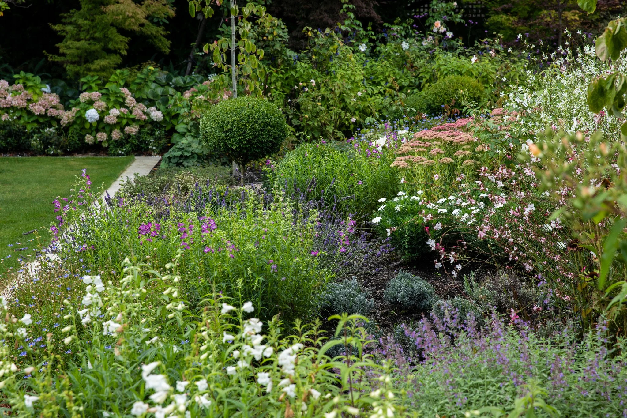 henry-blakely-landscapes-christchurch-traditional-design-mixed-perennial-border.jpg