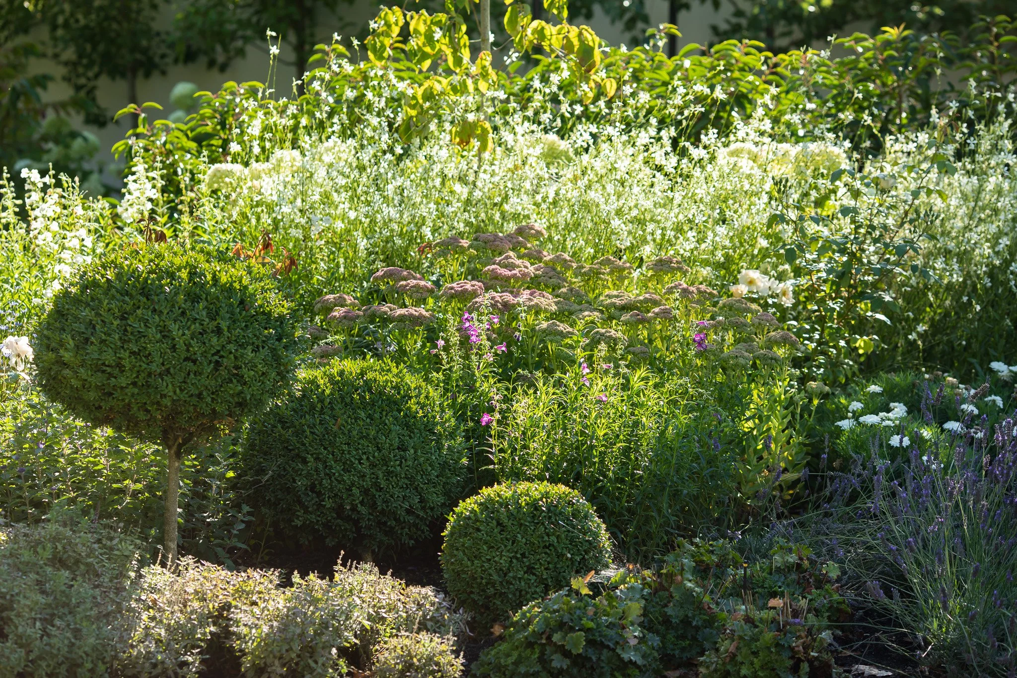 henry-blakely-landscapes-christchurch-traditional-design-mixed-flower-beds.jpg