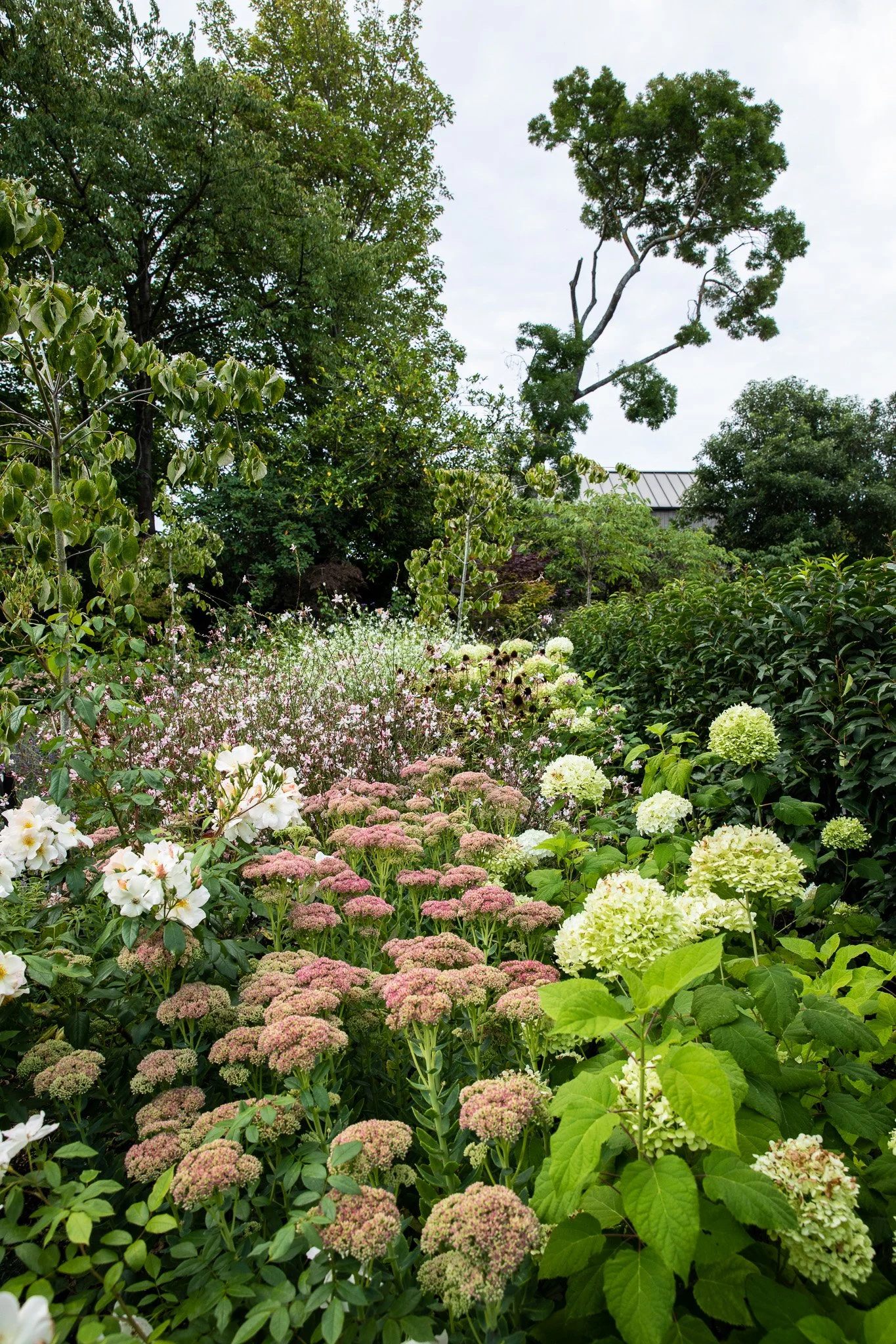 henry-blakely-landscapes-christchurch-traditional-design-summer-flower-bed.jpg