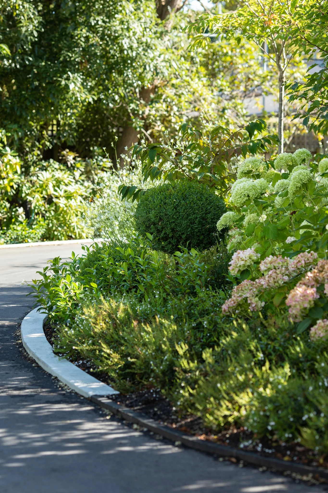 henry-blakely-landscapes-christchurch-traditional-design-driveway-planting.jpg