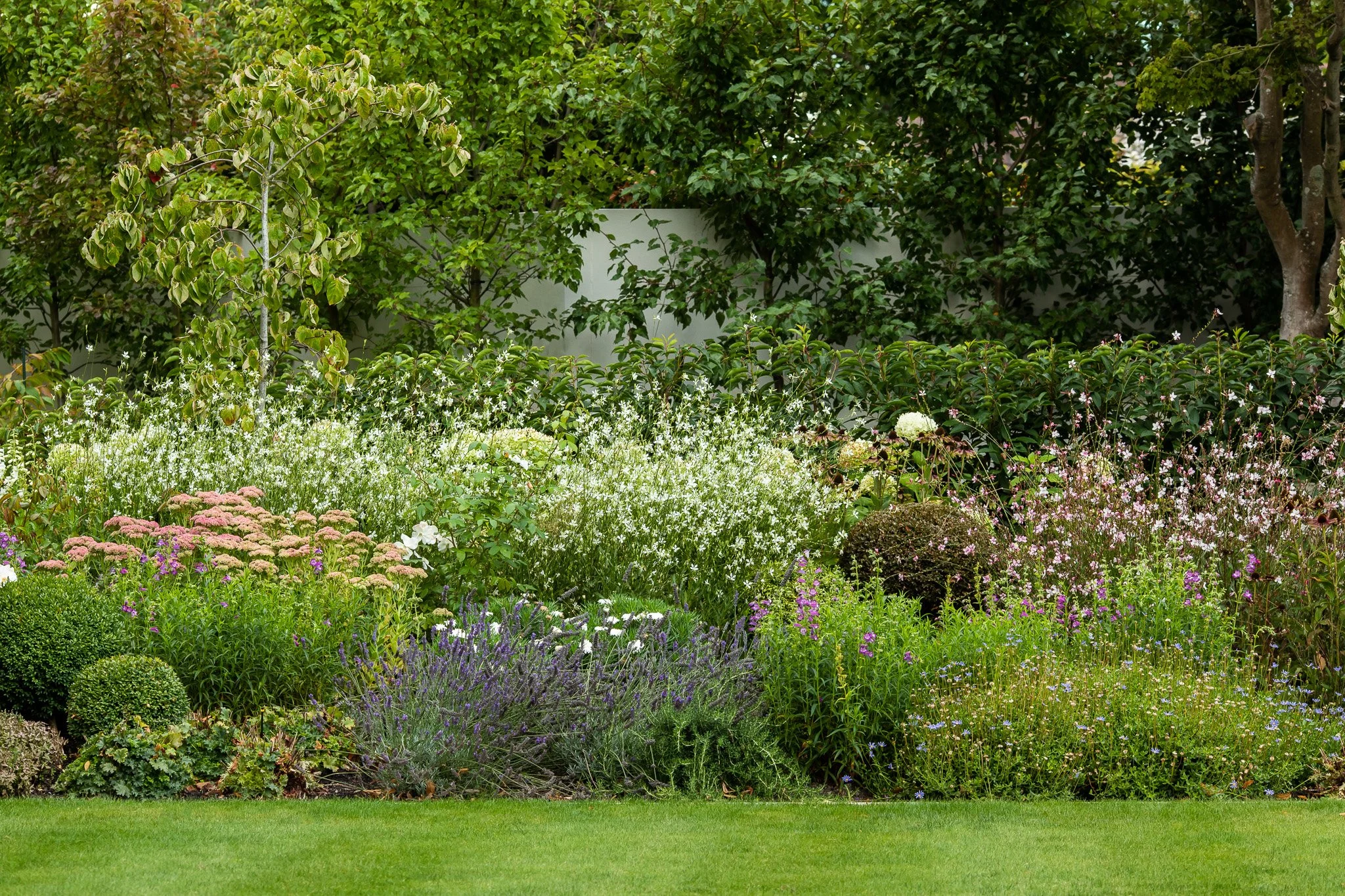 henry-blakely-landscapes-christchurch-traditional-design-flowering-perennials.jpg