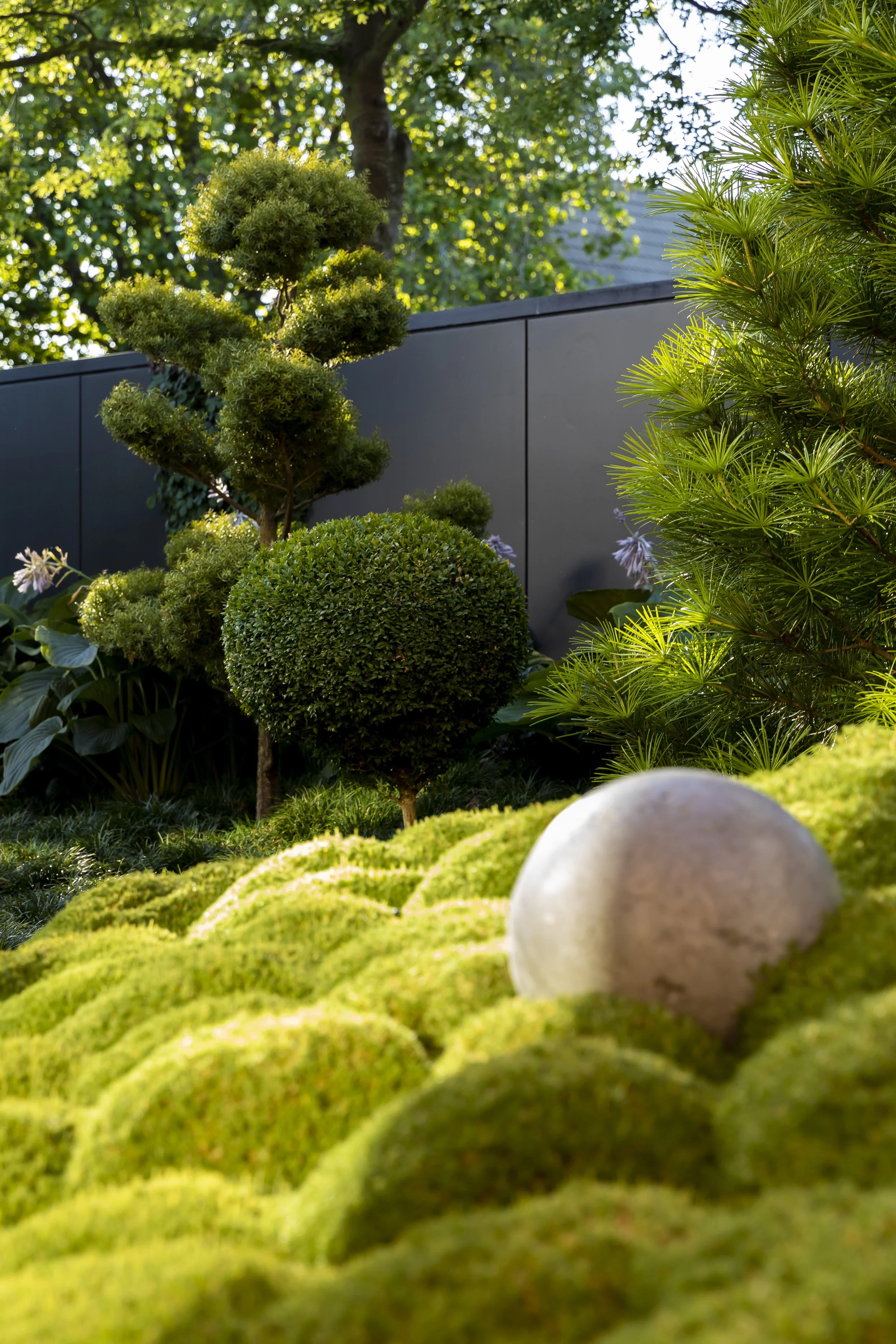 henry-blakely-landscape-designer-christchurch-moss-garden-sculptural-plants.jpg