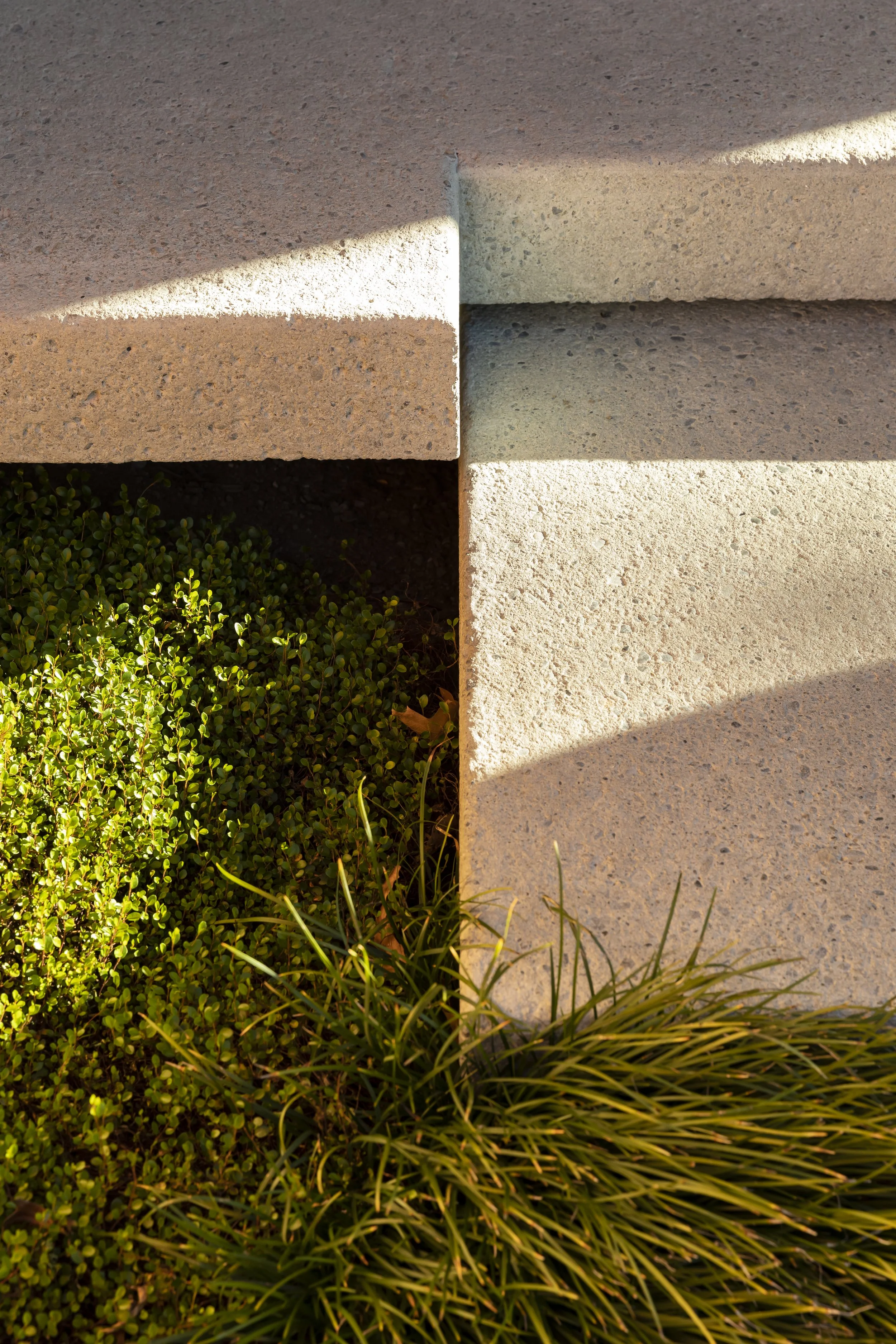 henry-blakely-landscape-designer-christchurch-concrete-steps-groundcover.jpg