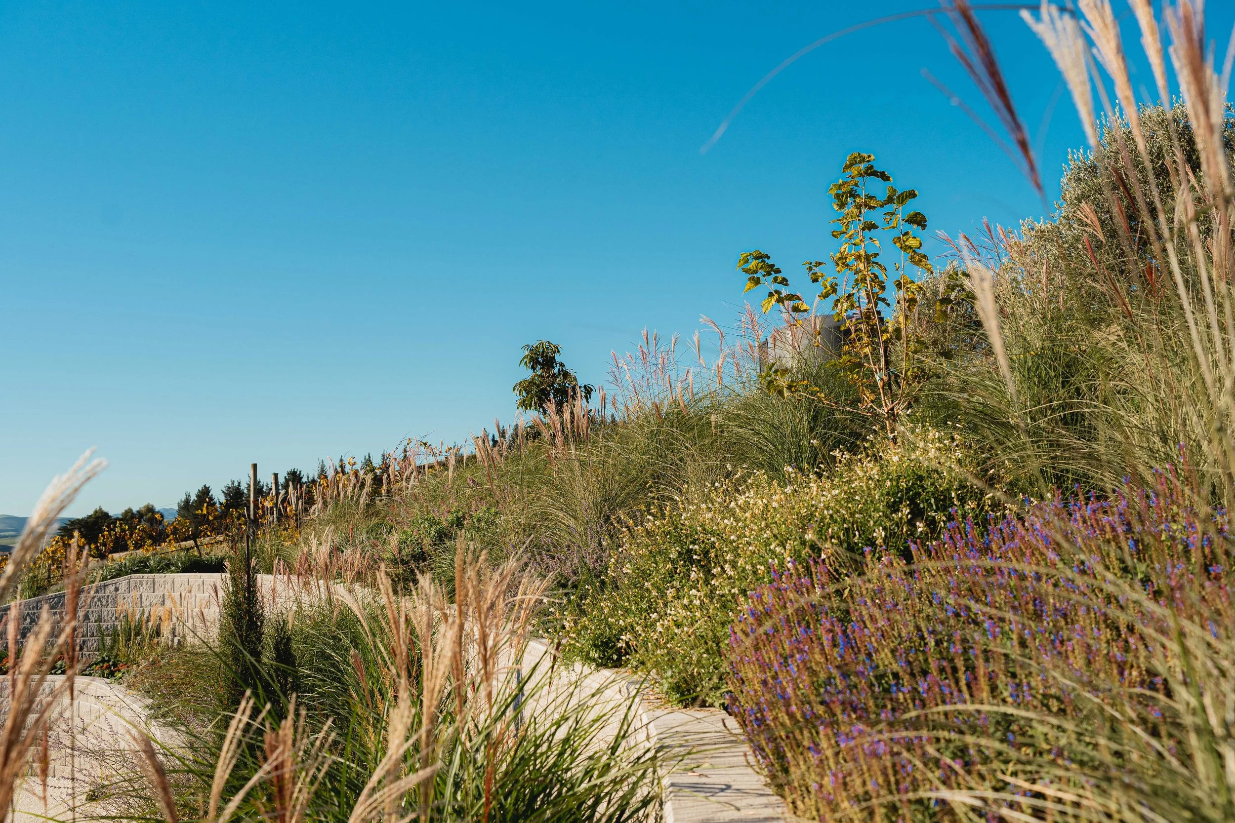 henry-blakely-landscape-designers-christchurch-layered-sloping-garden.jpg