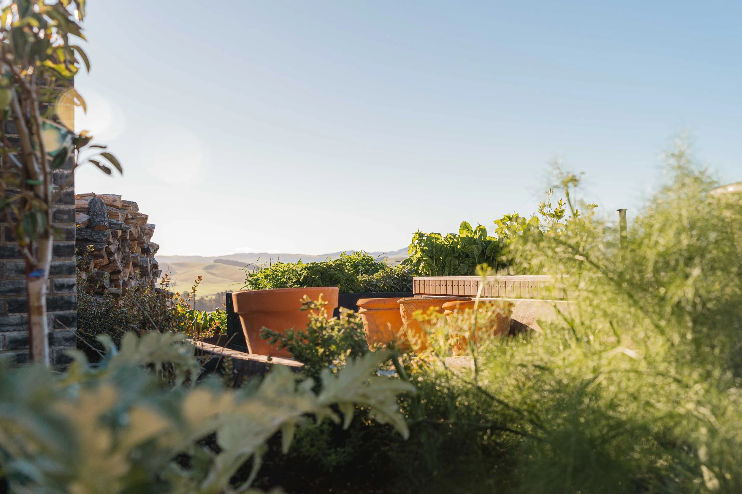 henry-blakely-landscape-designers-christchurch-potted-plants-view.jpg