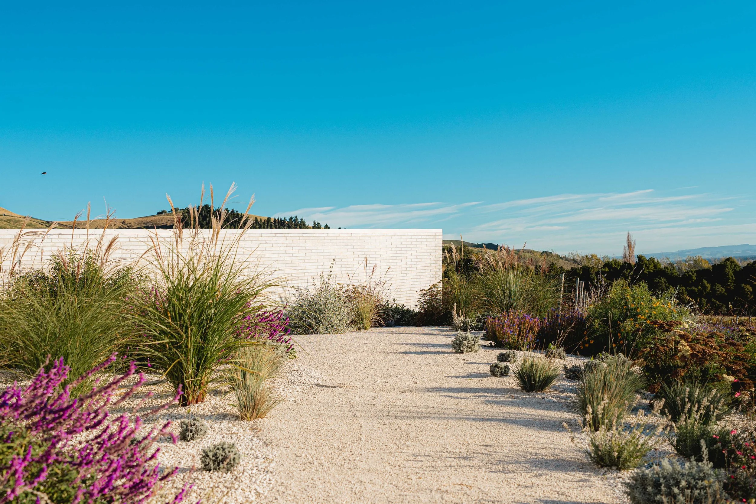 henry-blakely-landscape-designers-christchurch-gravel-path-drought-tolerant-plants.jpg