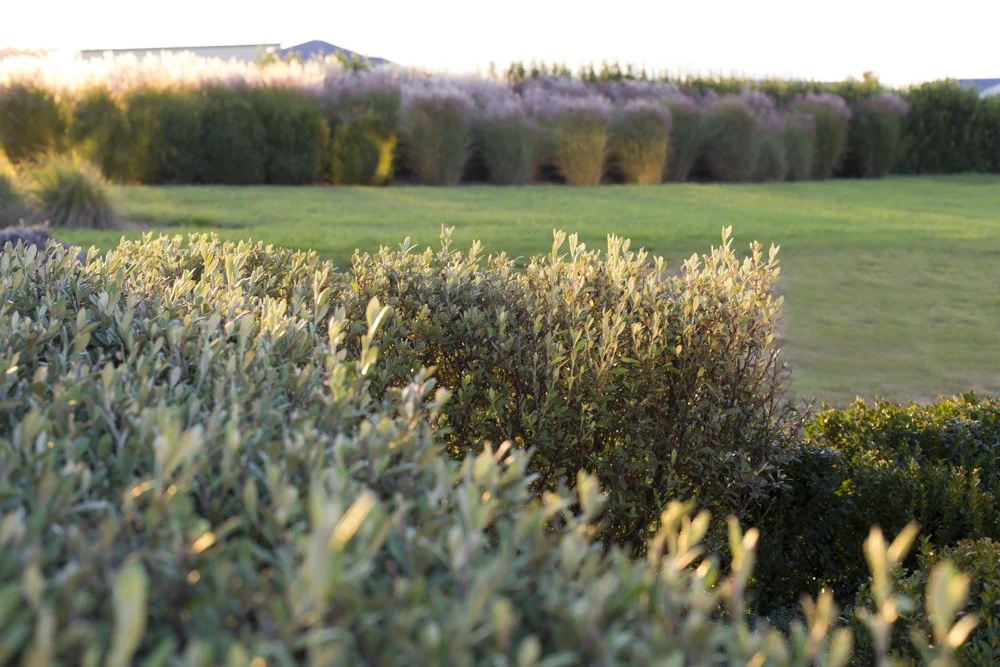Landscape Design Christchurch