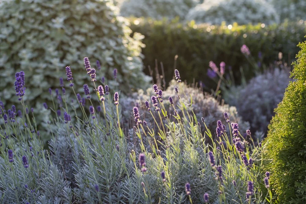 Landscape Design Christchurch