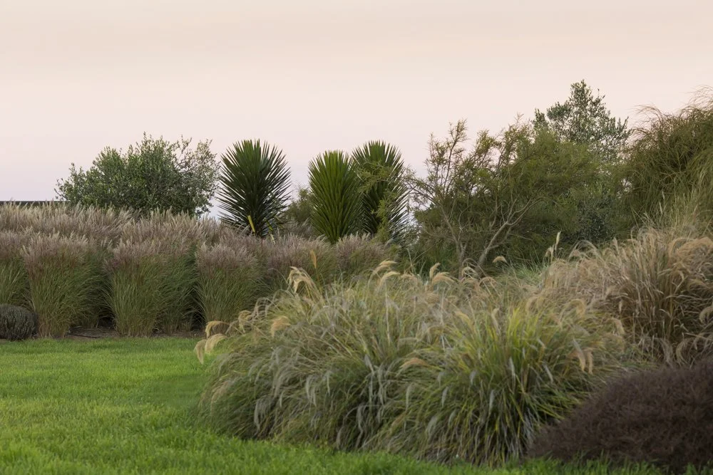 Landscape Design Christchurch