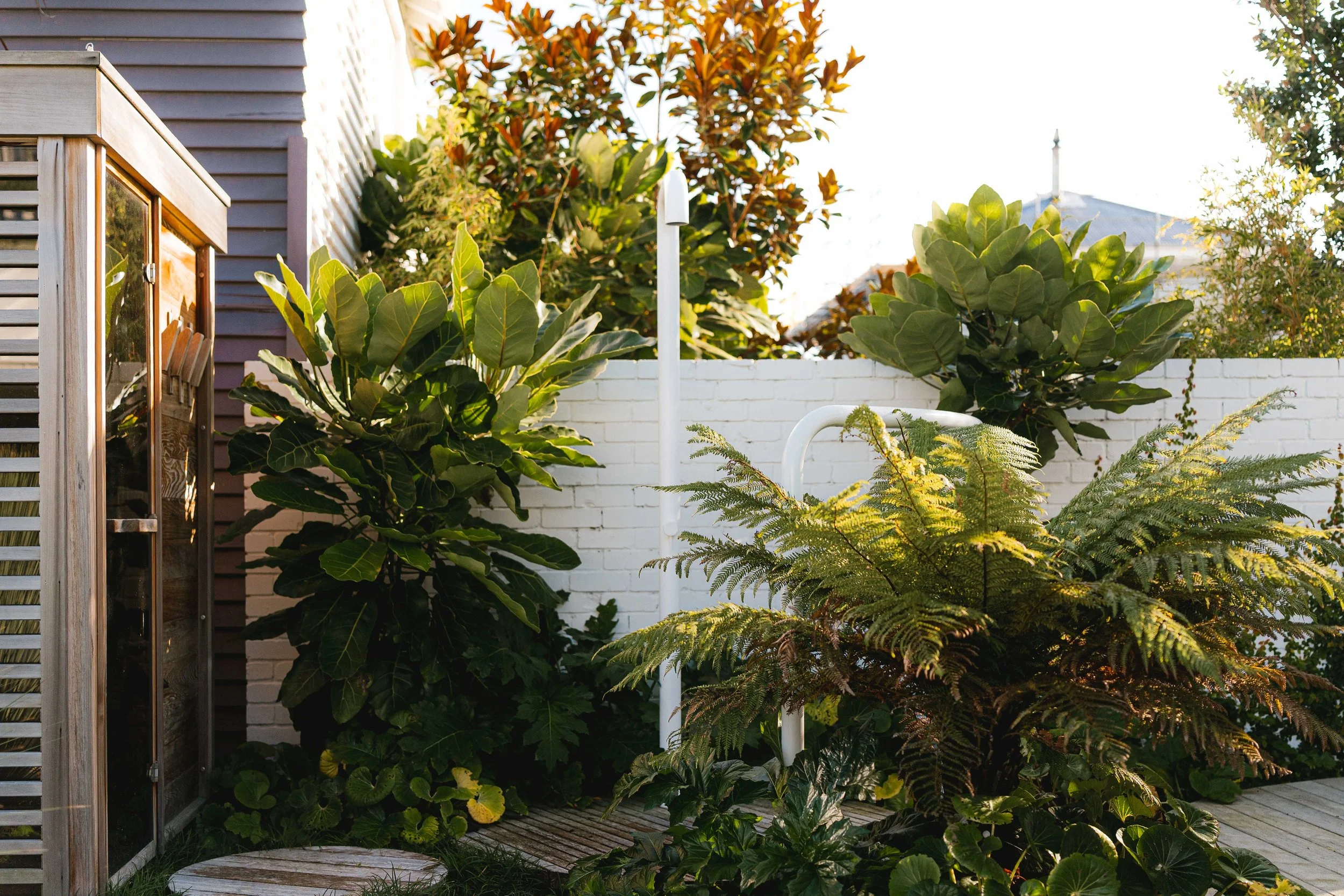 henry-blakely-landscapes-christchurch-outdoor-shower-tropical-plants.jpg.jpg