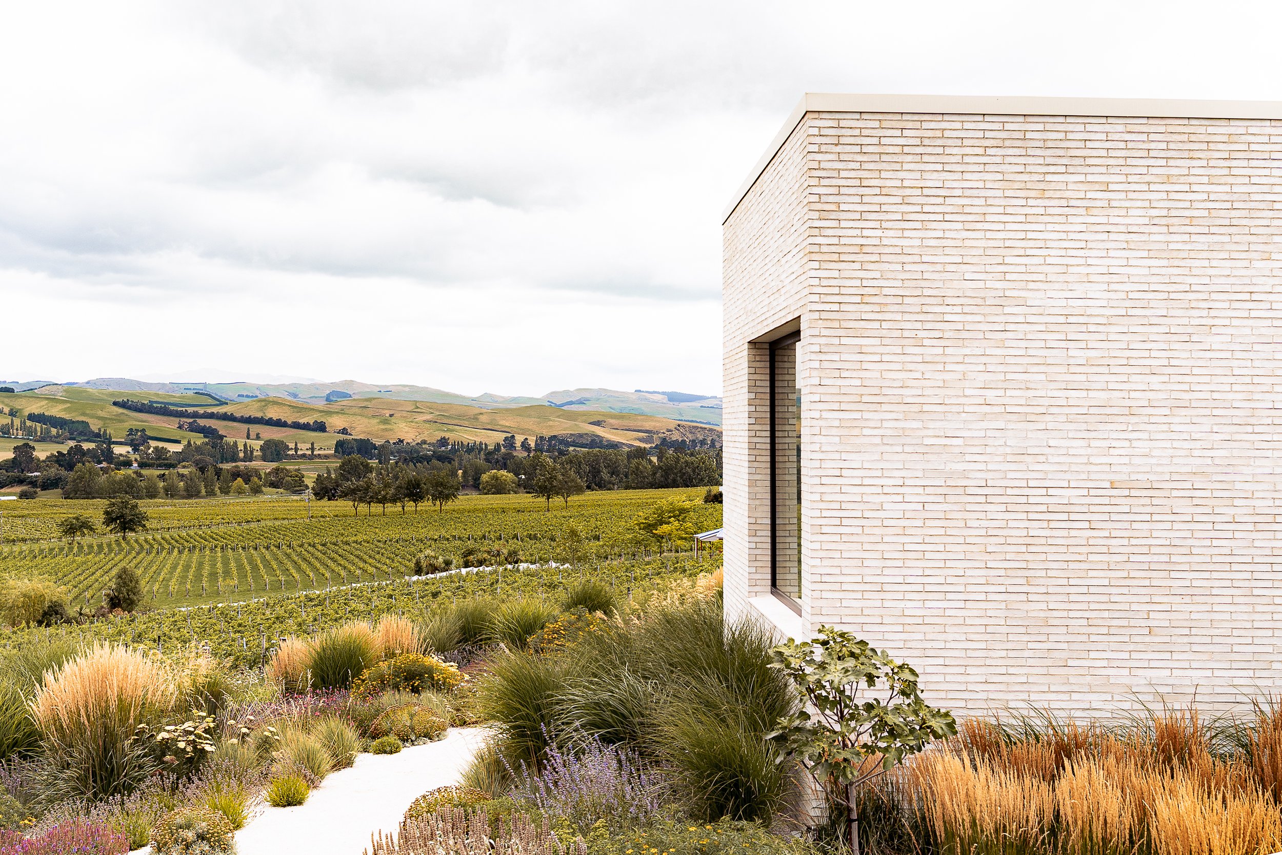 20260126_Waipara_MHS-37.jpg