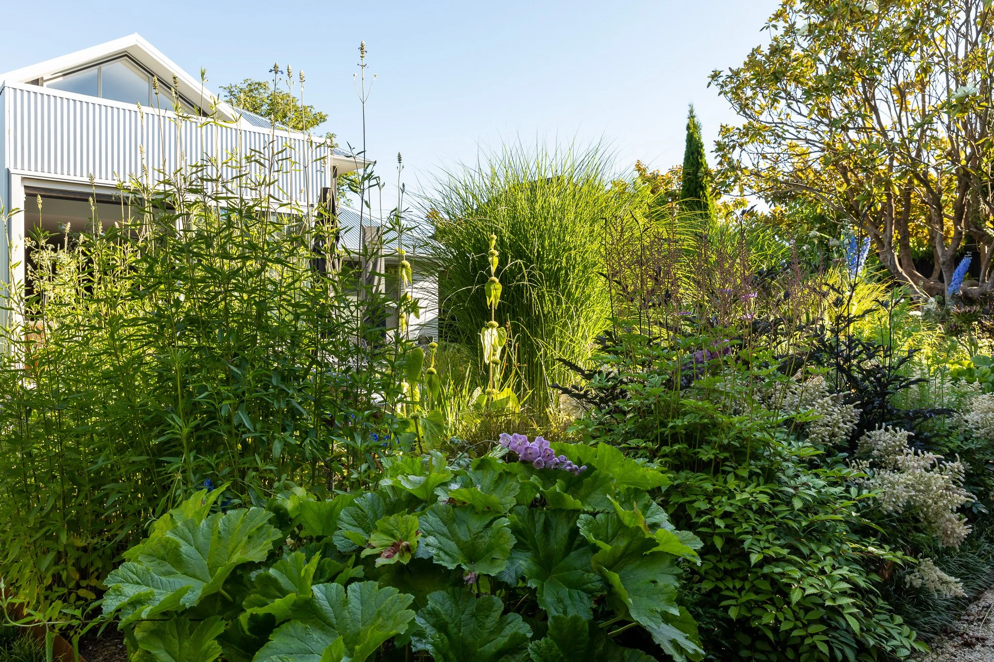 henry-blakely-landscapes-st-albans-lush-garden-beds-house-view.jpg.jpg