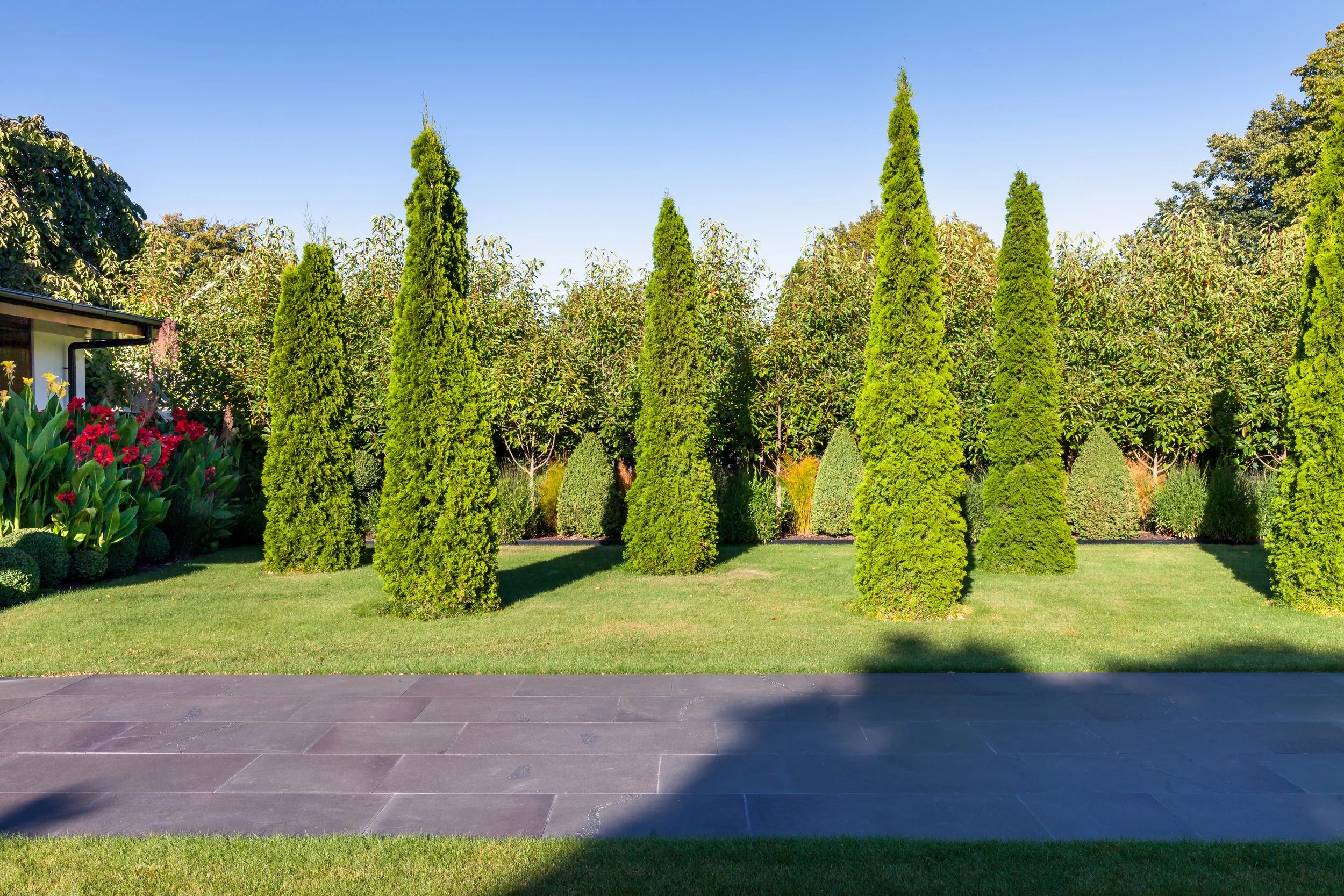 henry-blakely-landscapes-grumpys-garden-tall-topiary-trees-lawn.jpg.jpg