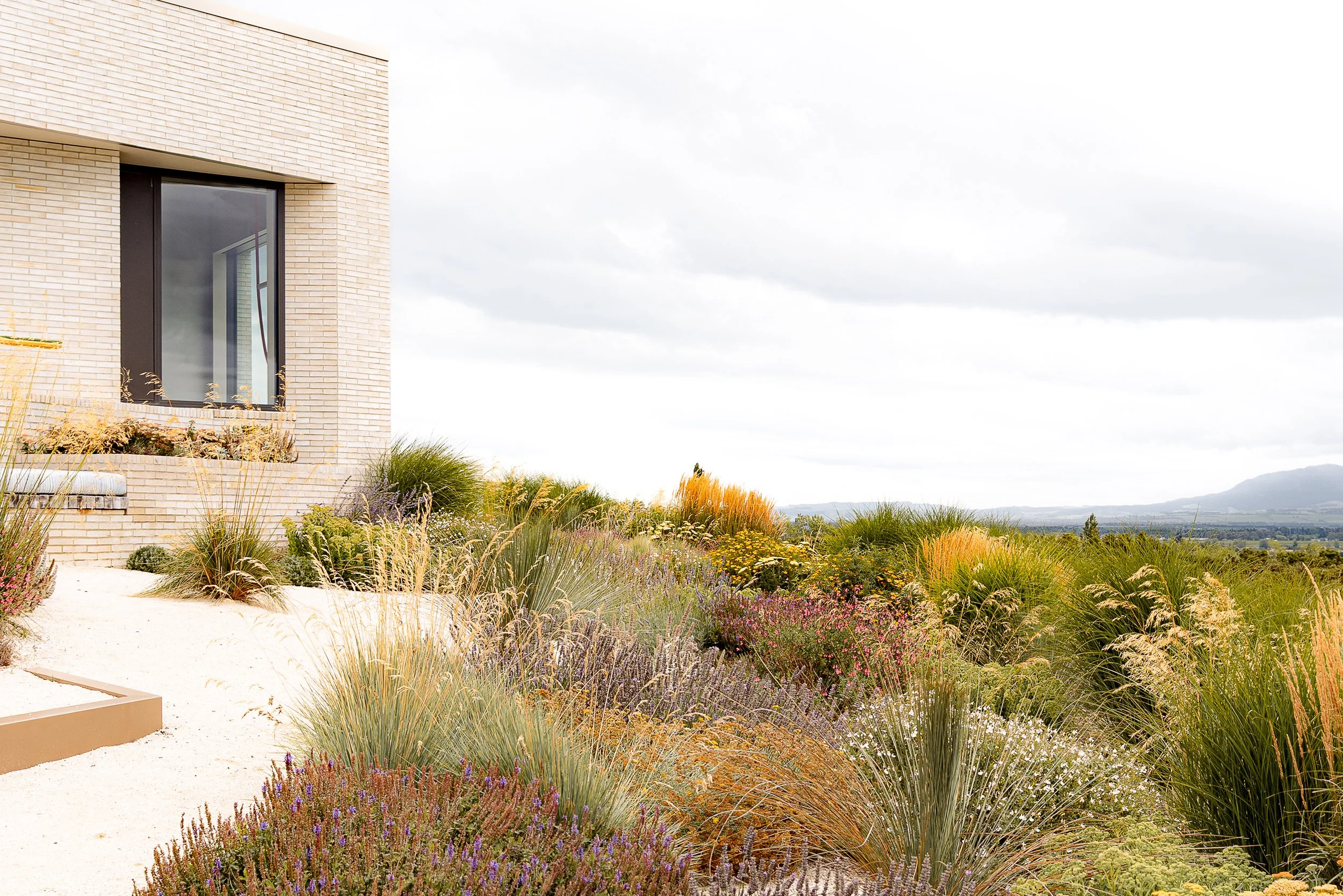 20260126_Waipara_MHS-30.jpg