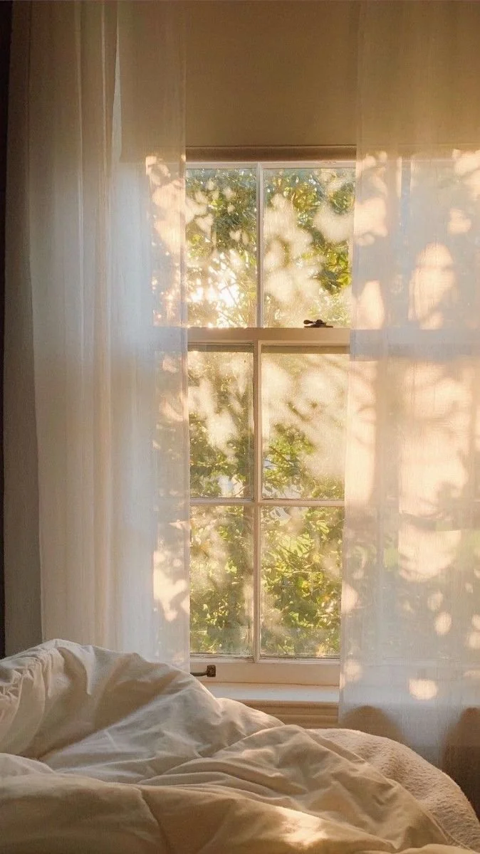 Sunlight filtering through sheer curtains beside flowering branches