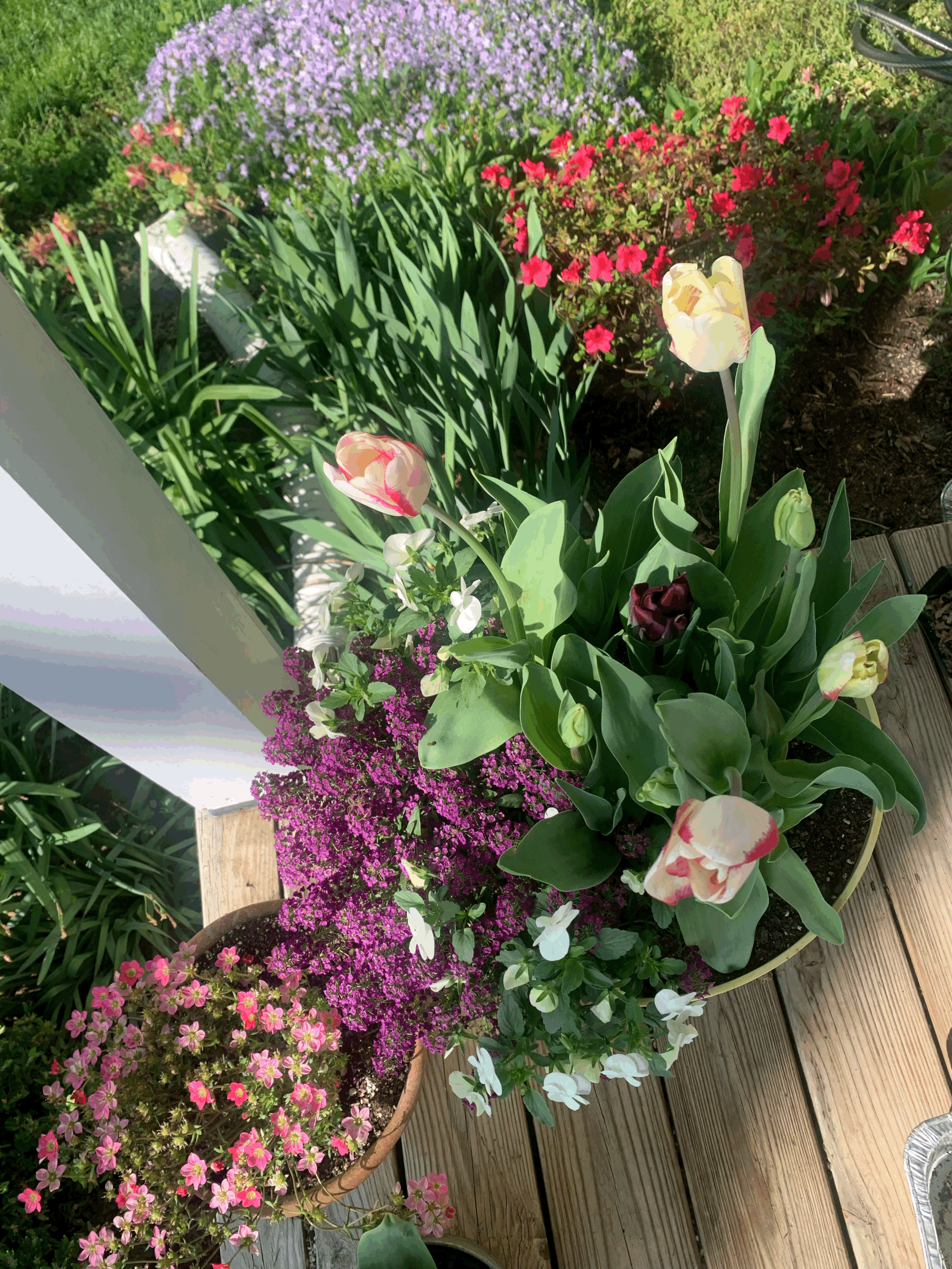 tempImagefw7oAS.gif (Copy)