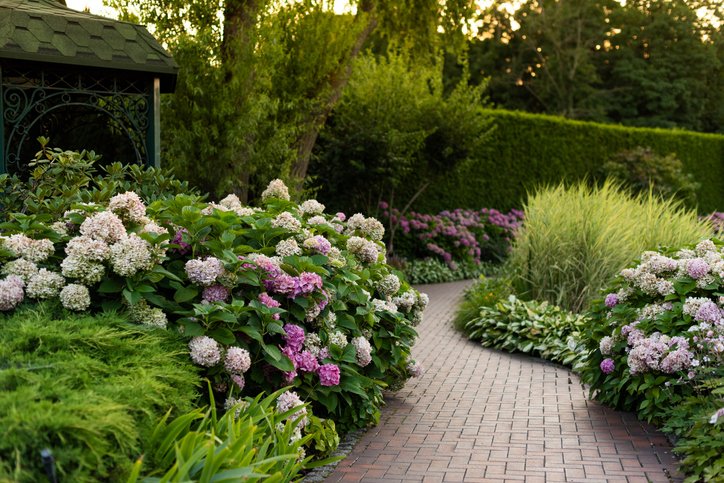 garden design photo.jpg