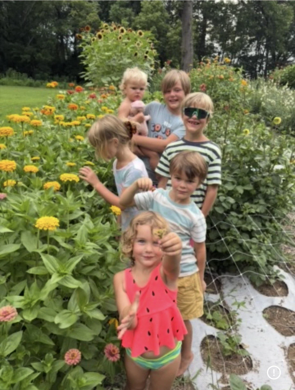GALentines! Seed Starting for Successive Blooms @ The Clarke Co Fairgrounds Horticulture