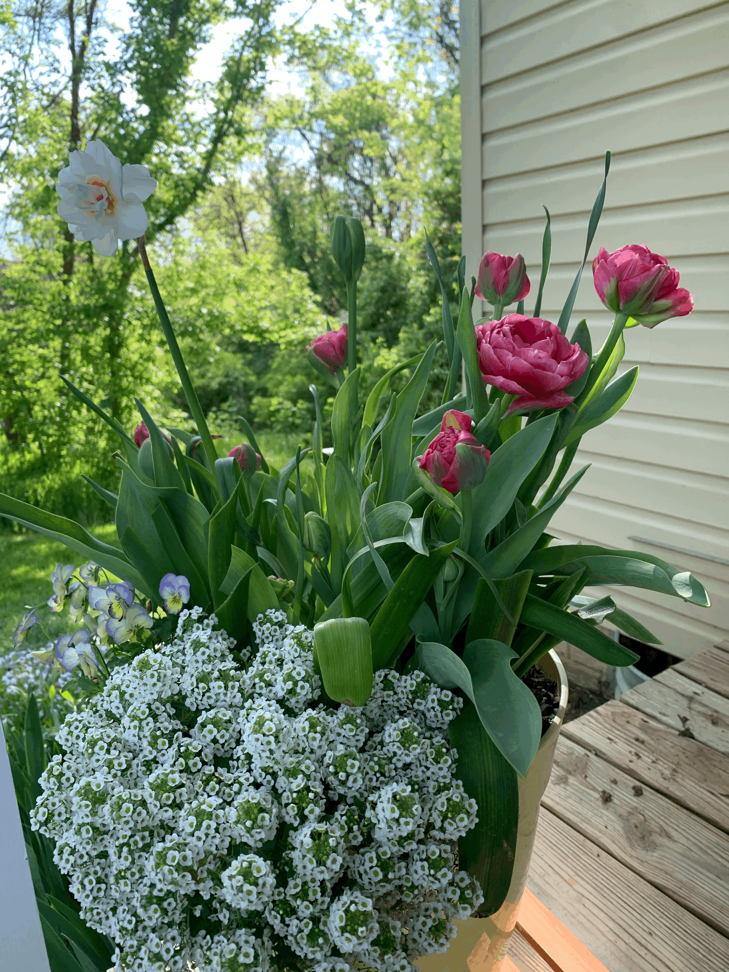 tempImagegSkvaf.gif (Copy)